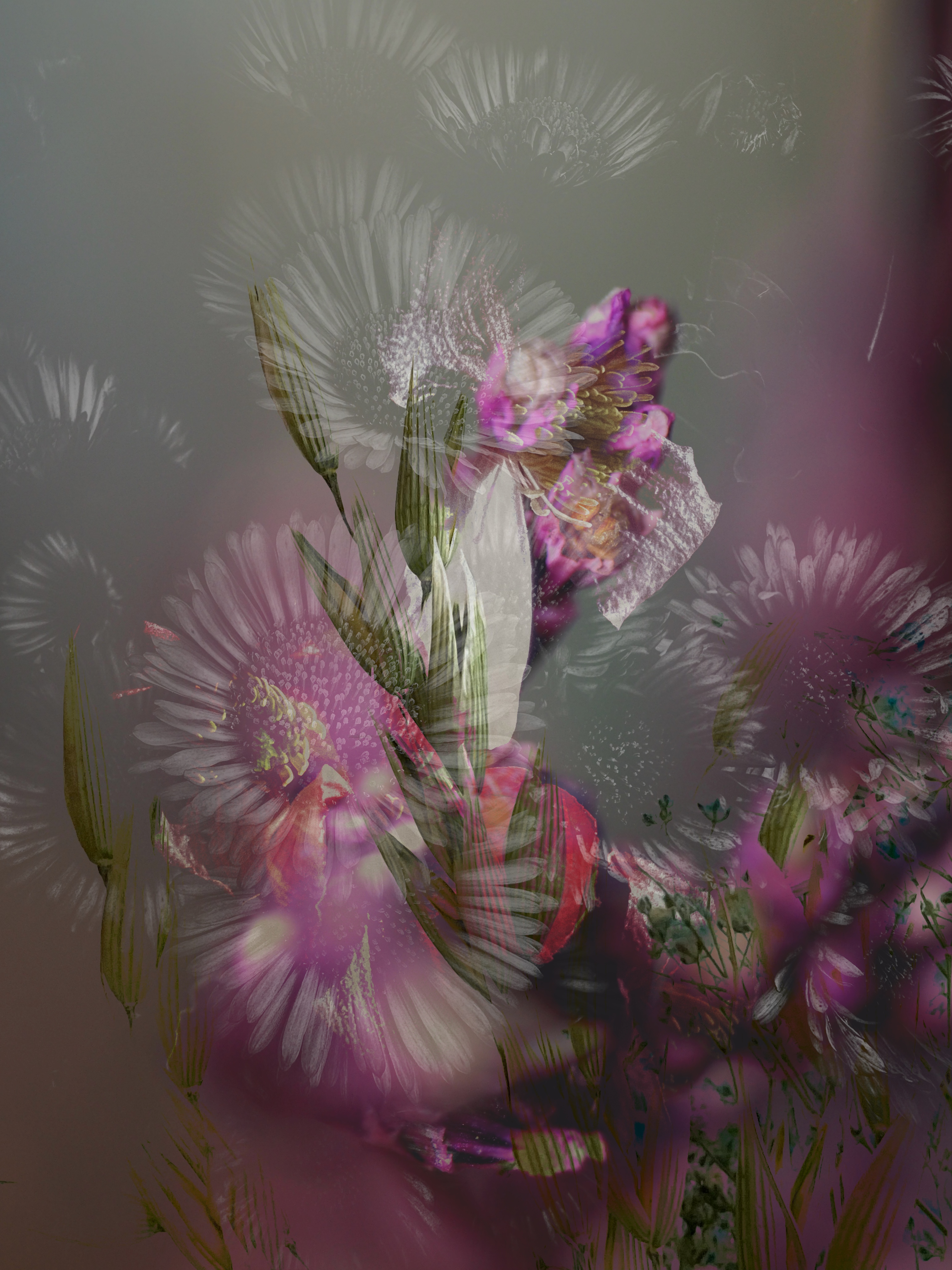 Between the Pinks #2