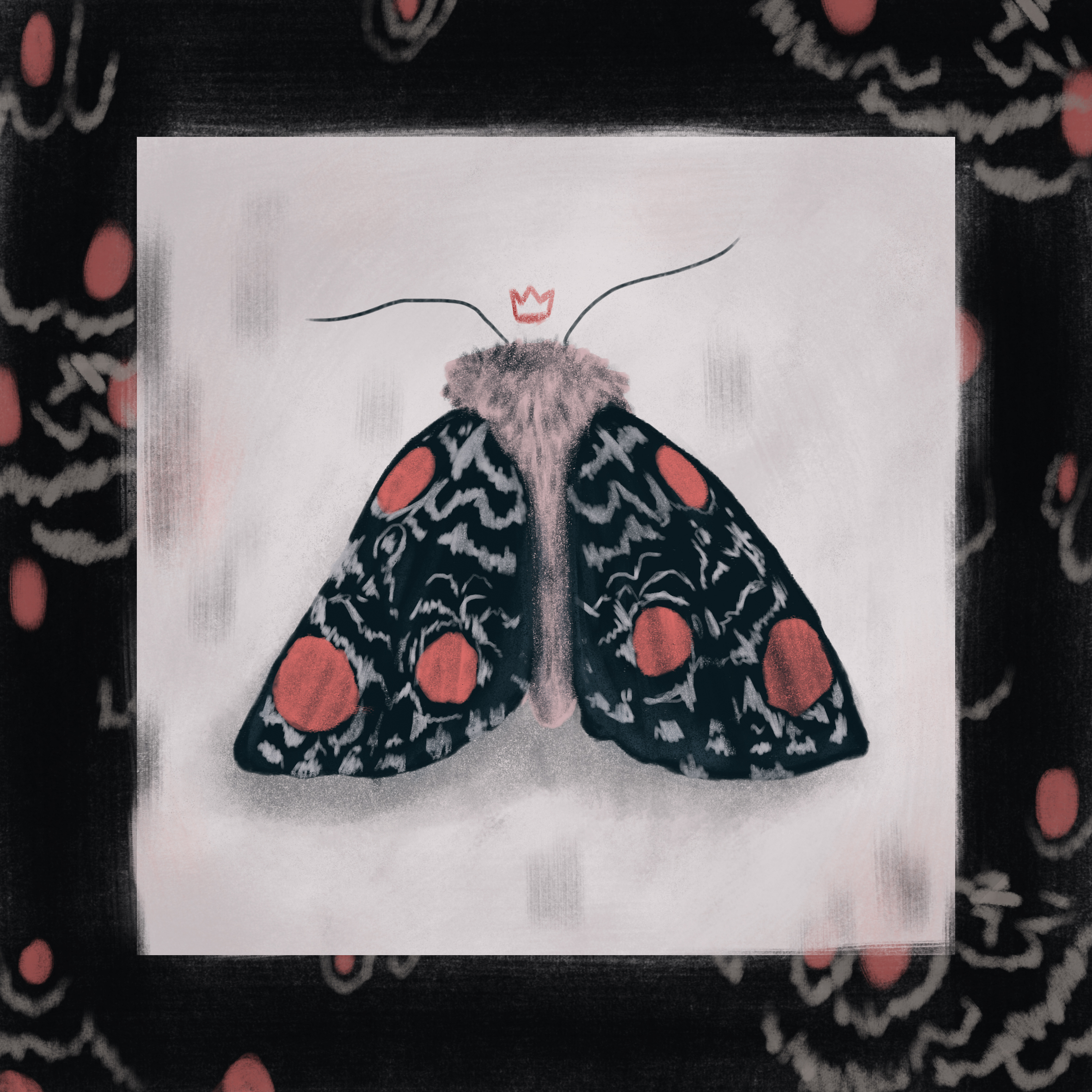 Moth #1