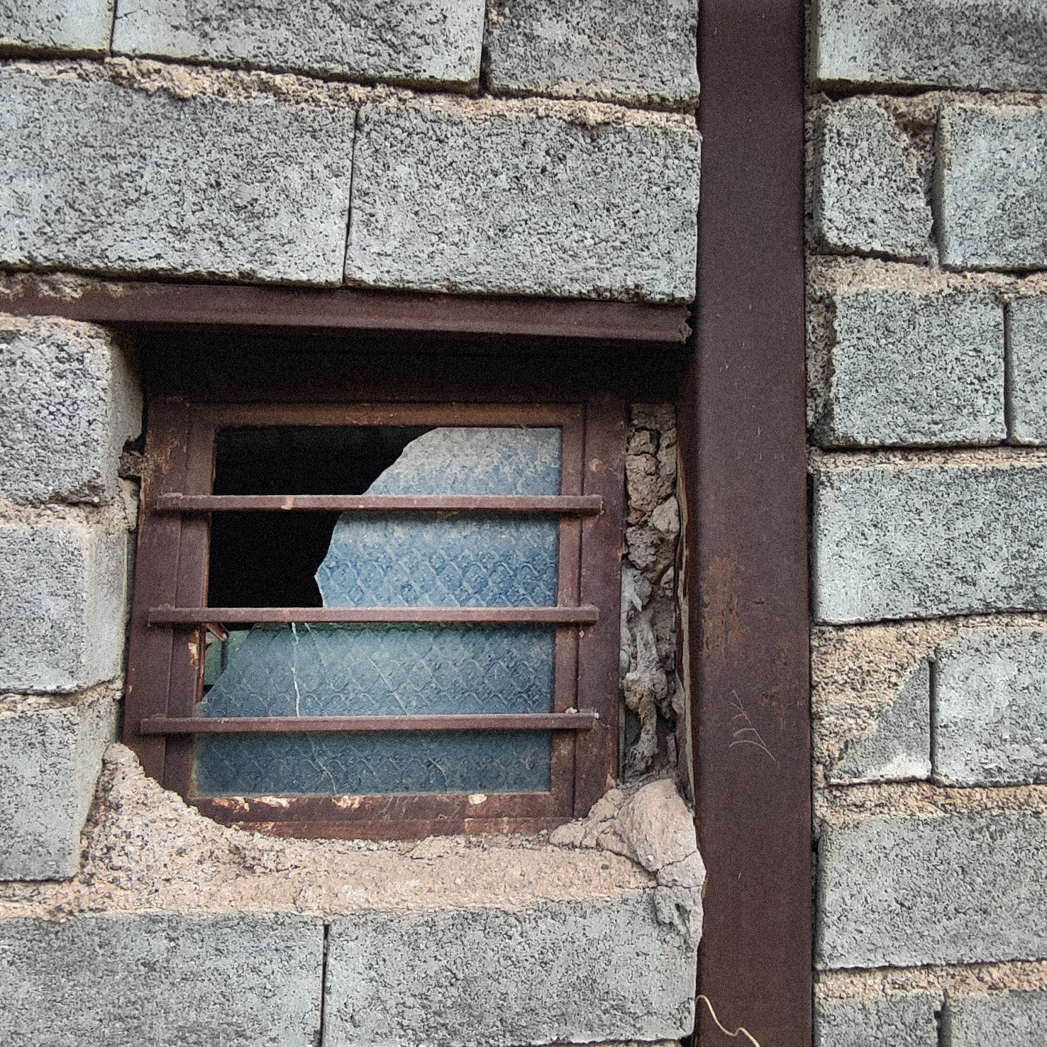 Window