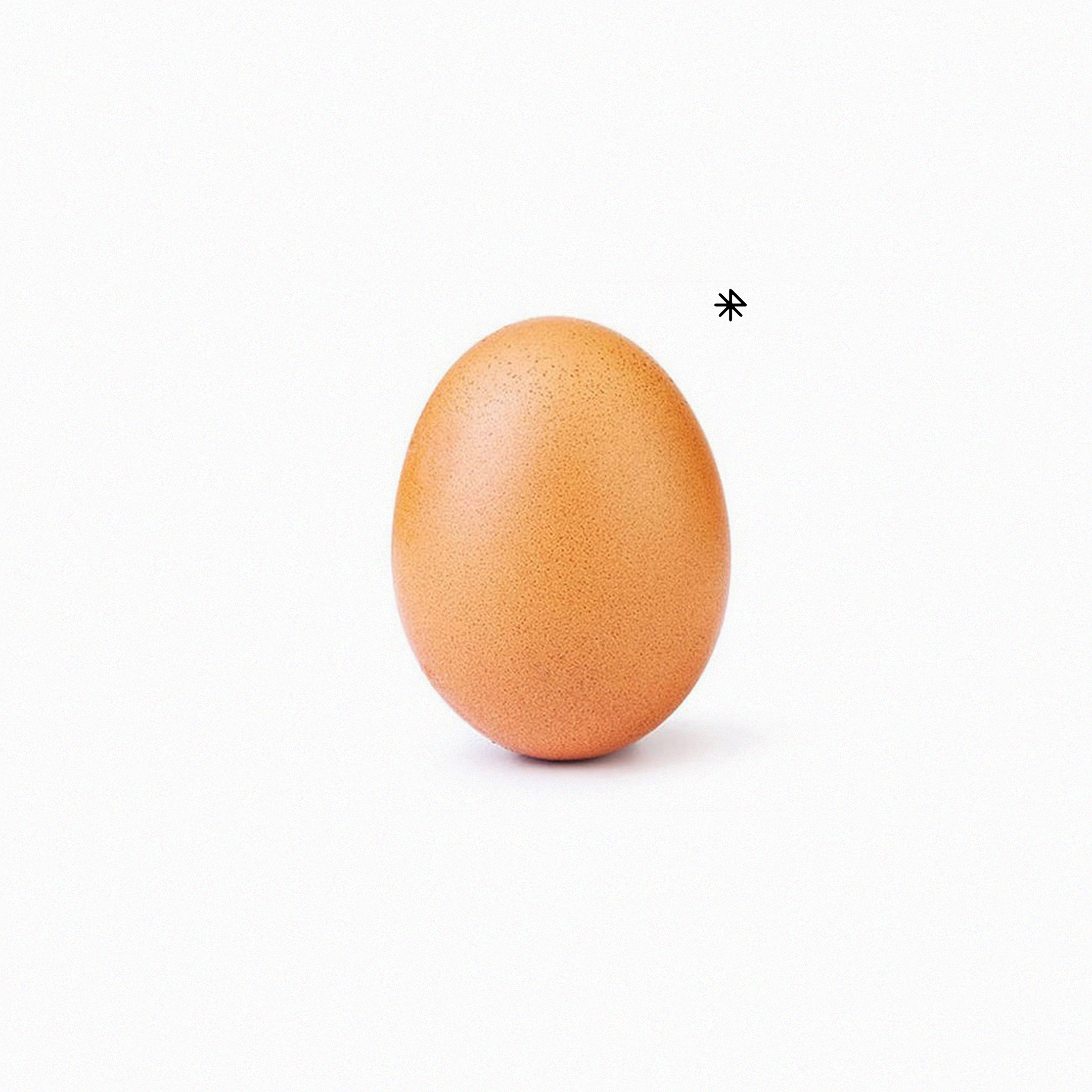 RODEO RECORD EGG