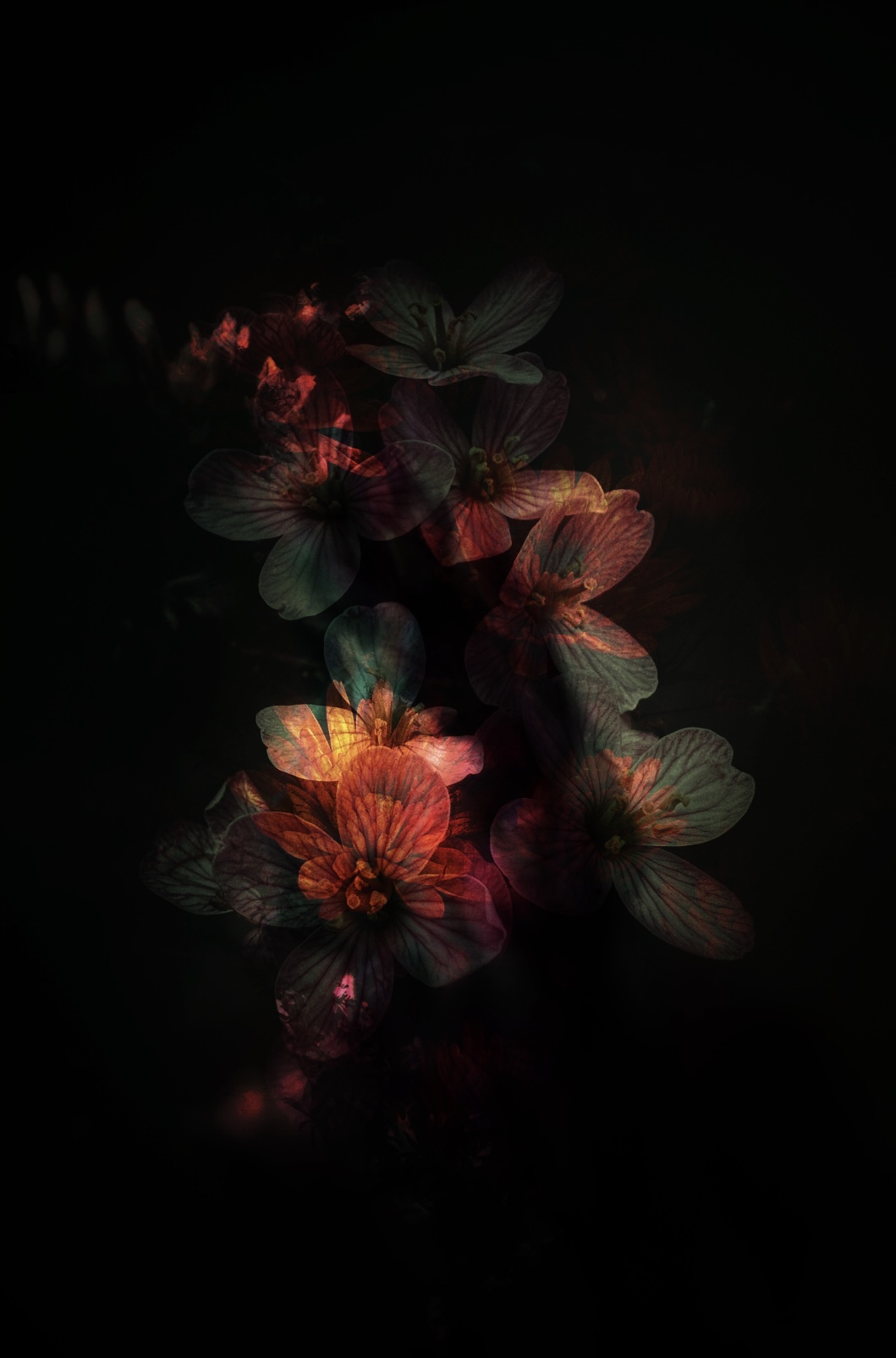 Fire in the Flowers