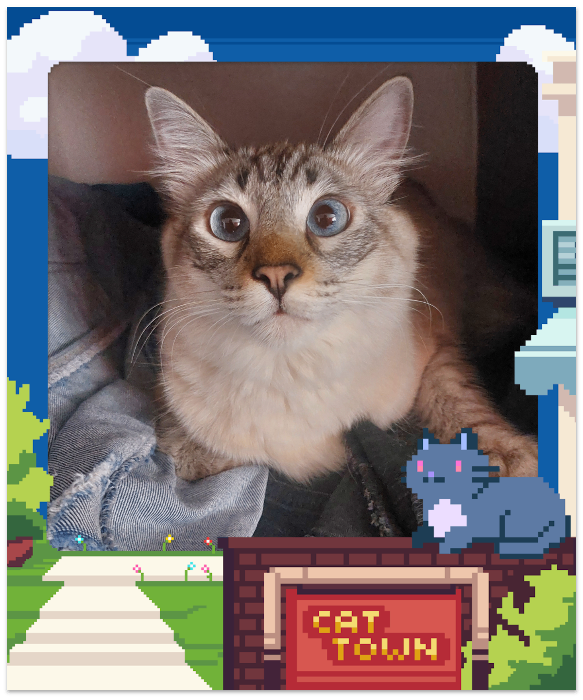 Moshi