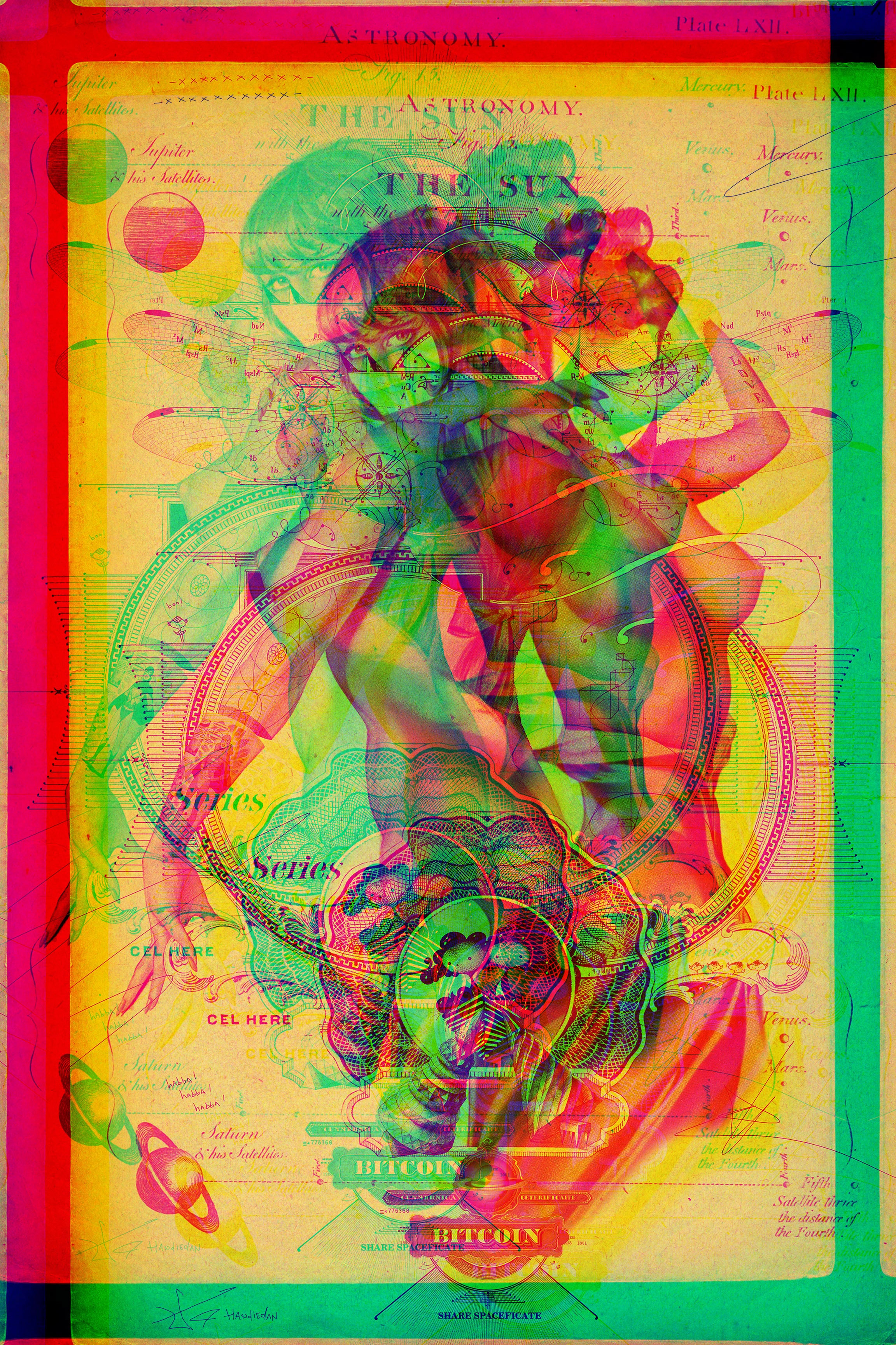 HANDIEDAN | DRAGONFLY | OPTIMISM