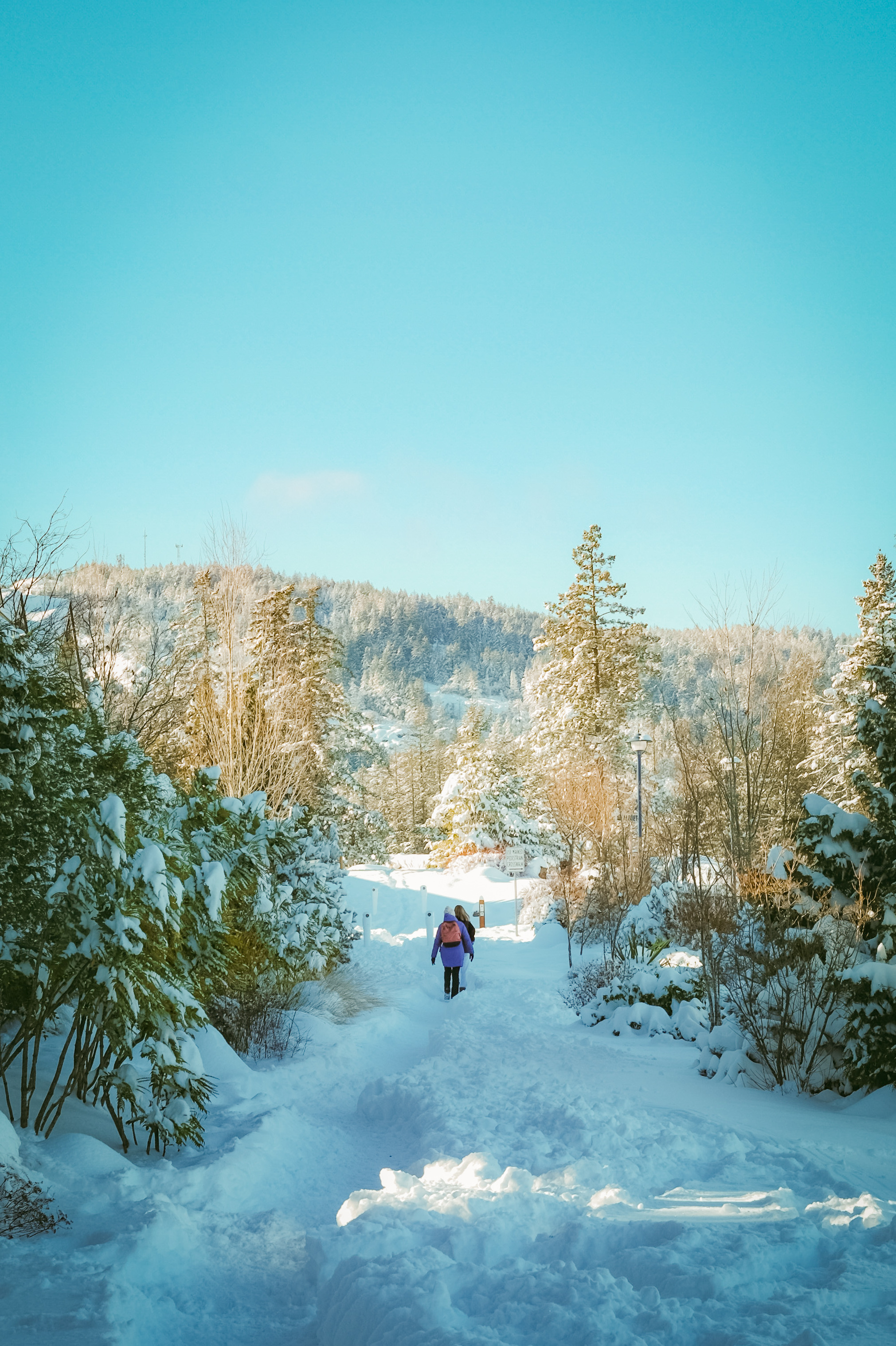 Trek