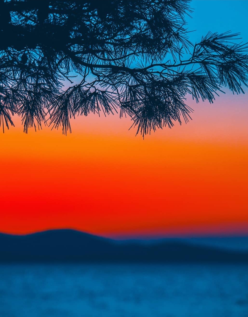 Gradient with branches