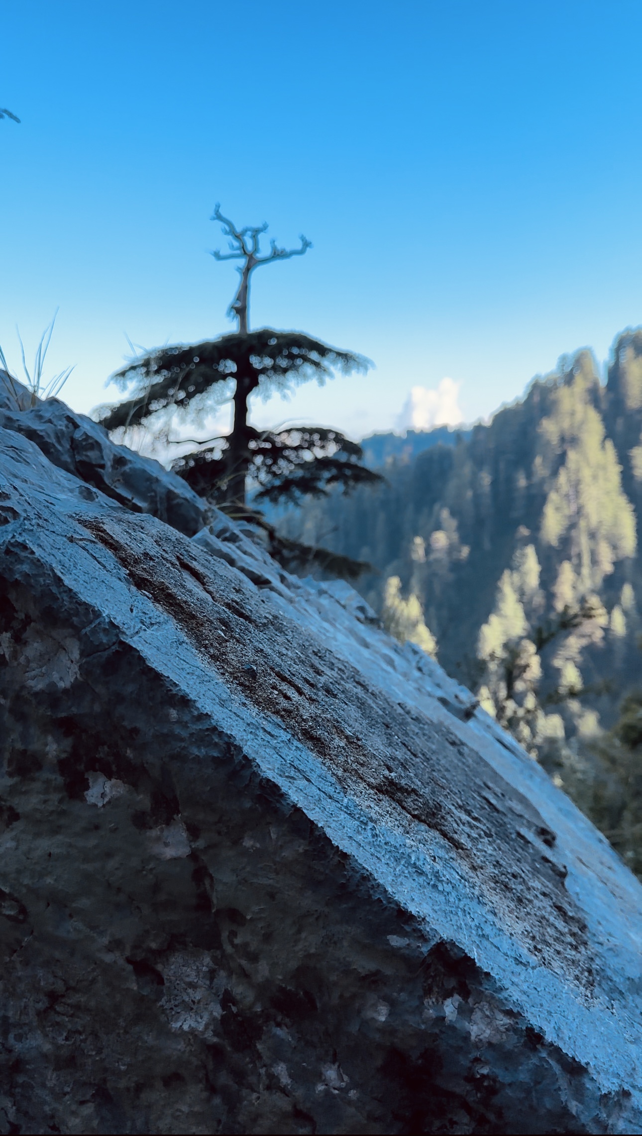 The World Beyond the Hurdles #45