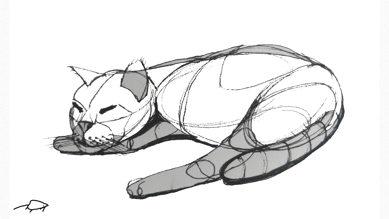Cat&Mouse
