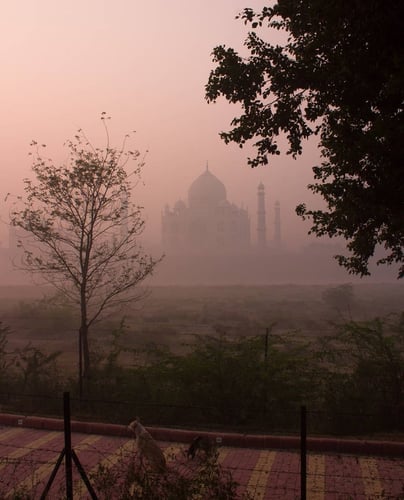 Misty mornings