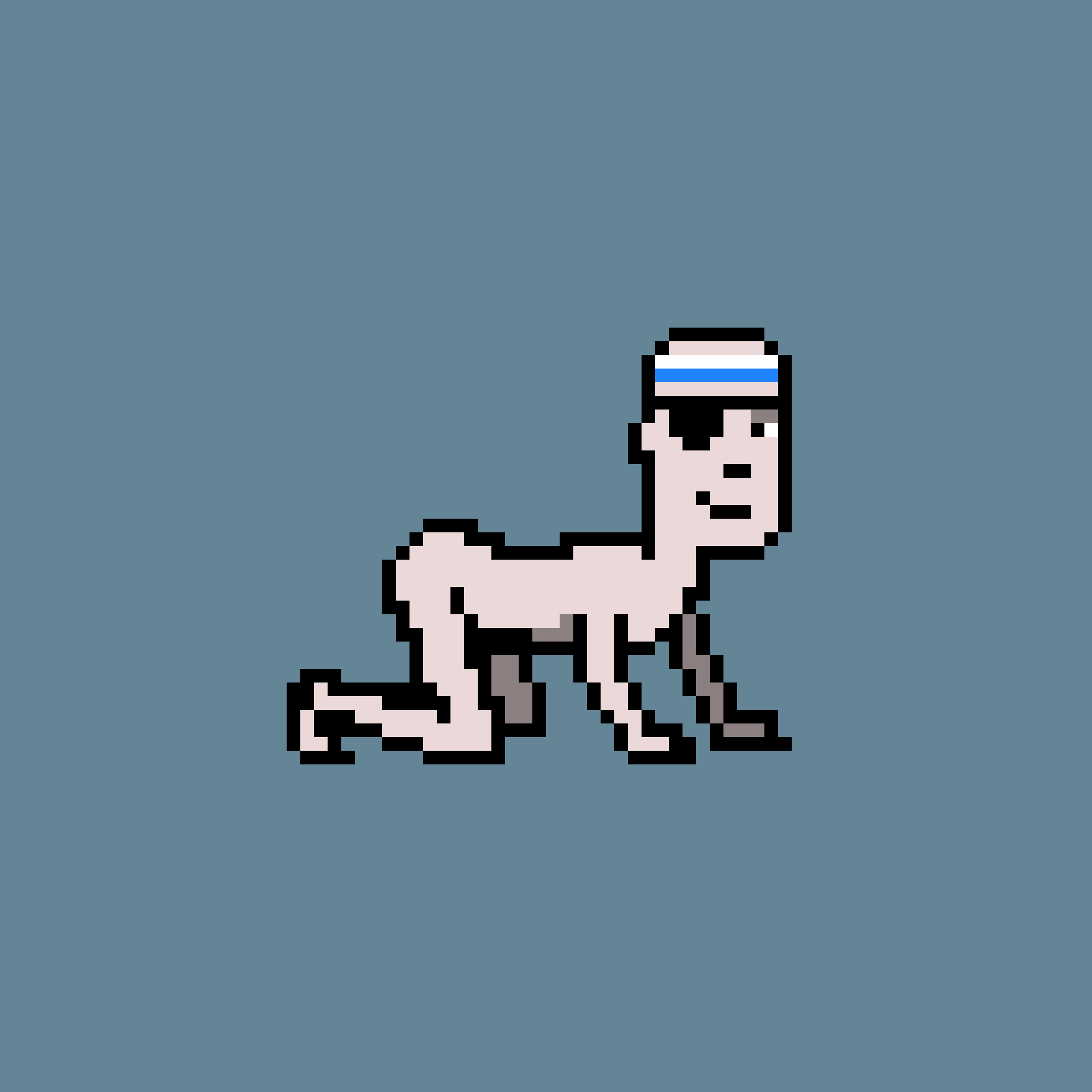 CrawlingPunk #8516