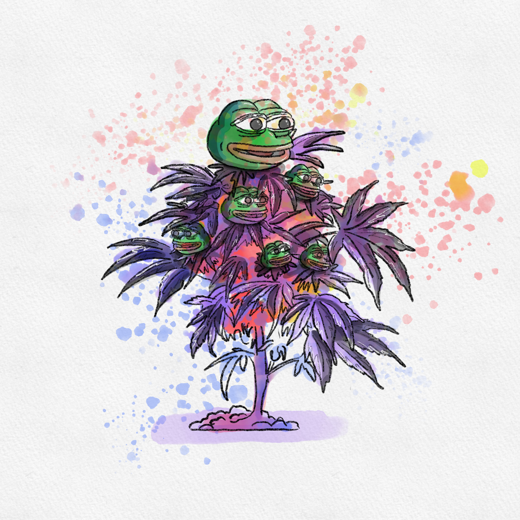 Pepe Haze