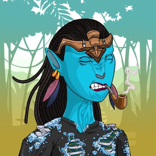 NAVATAR #194