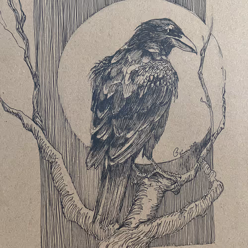 Crow