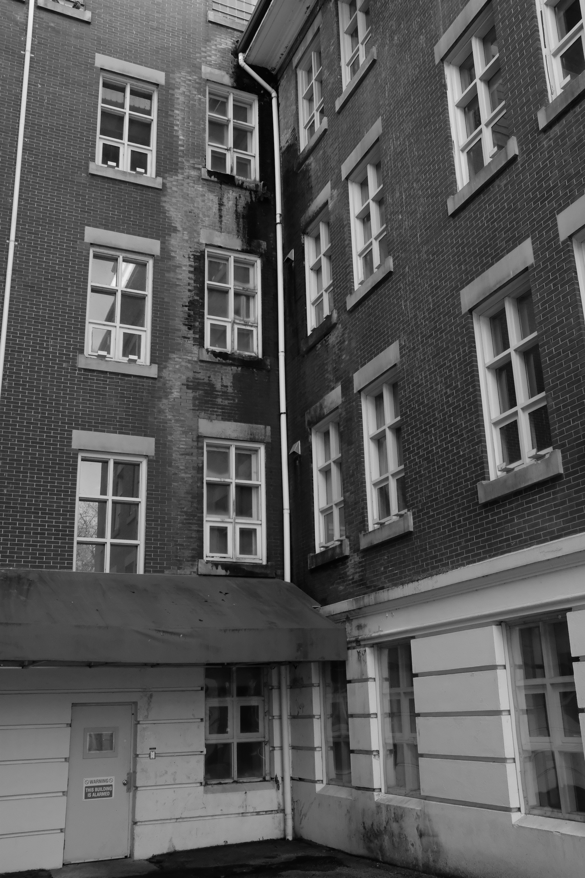 Asylum - 3