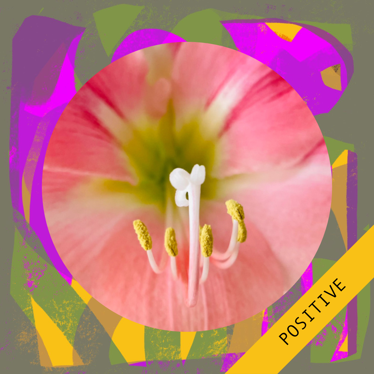 POSITIVE