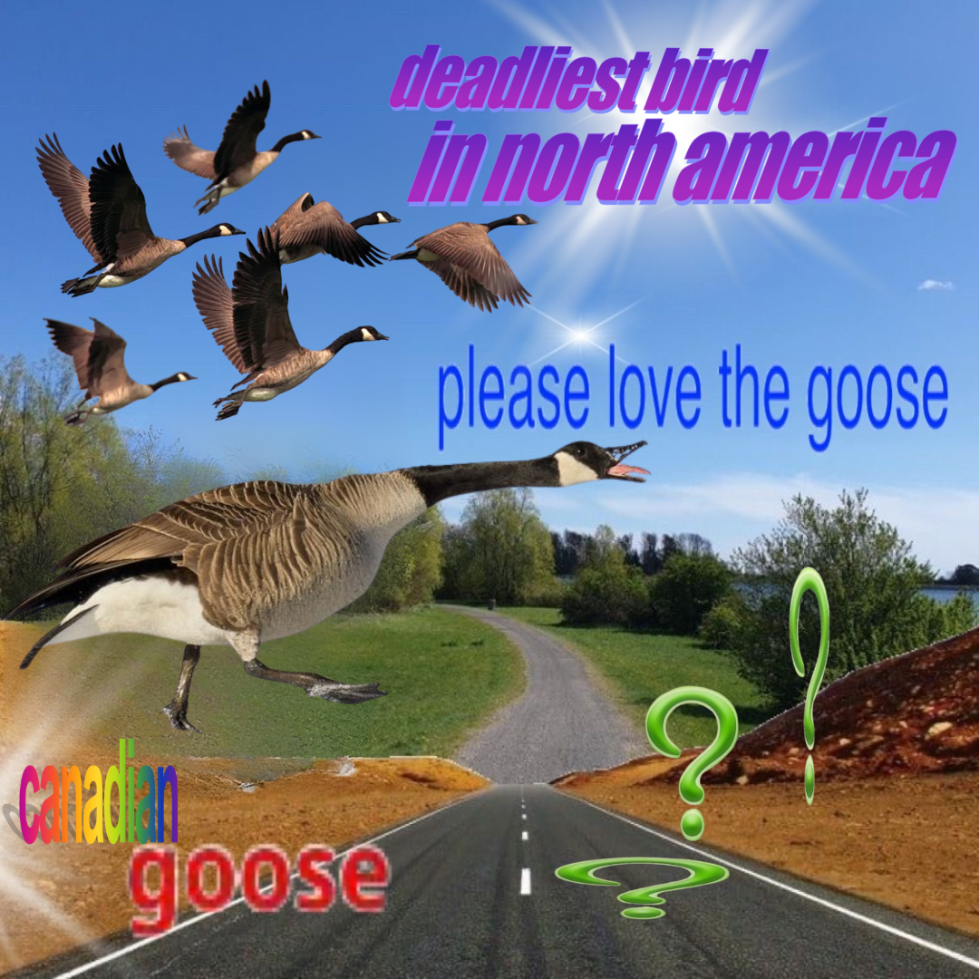 they bite!