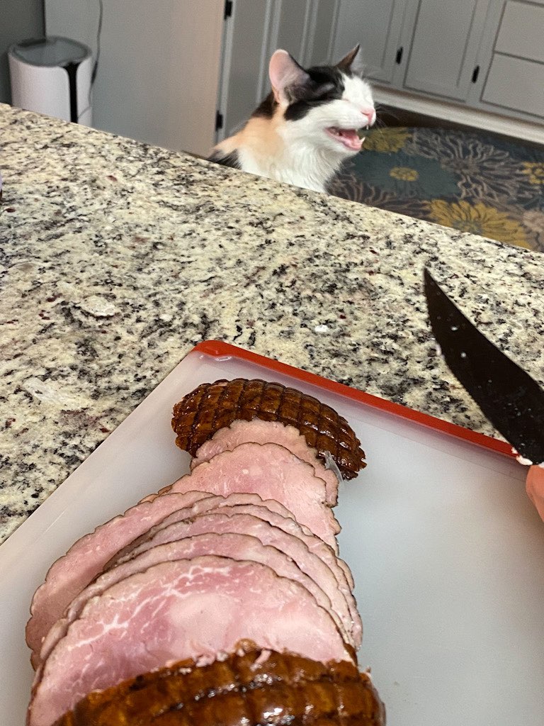 She Want Ham