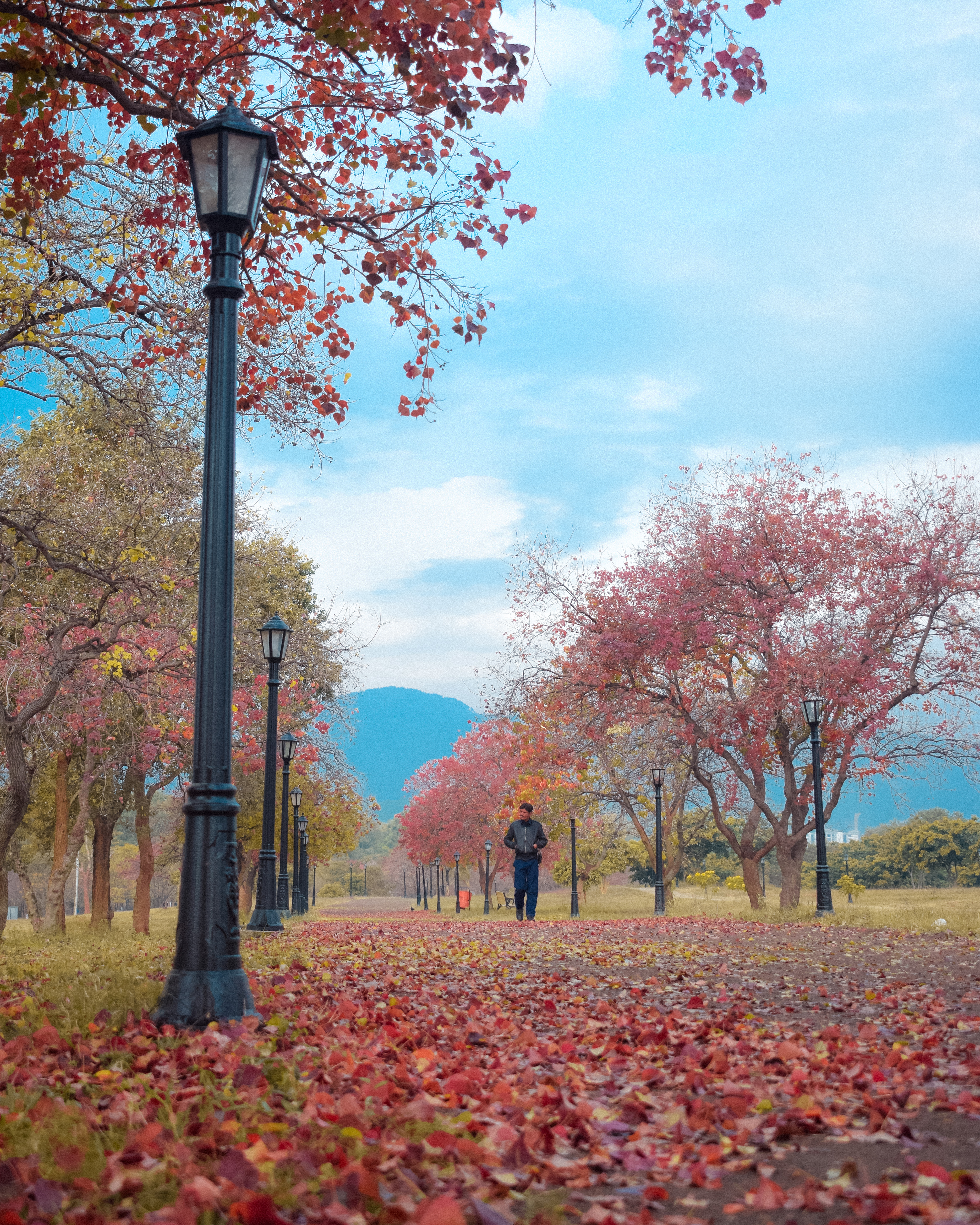  SHADES OF ONCHAIN AUTUMN #1962