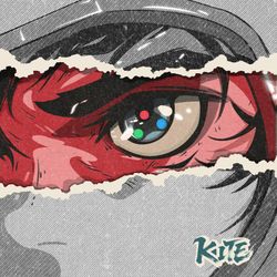FLY THE KITE