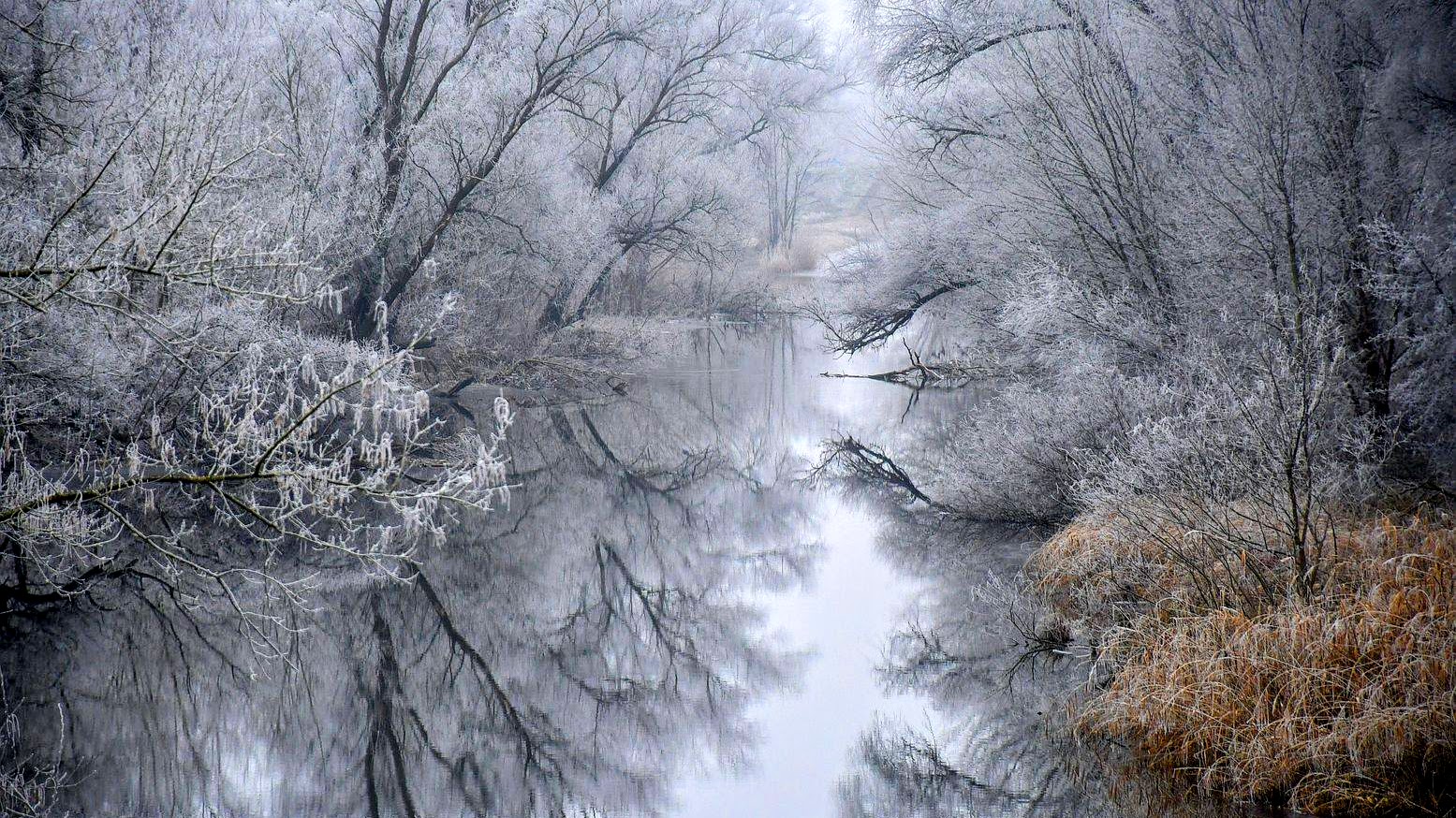 morning mirror