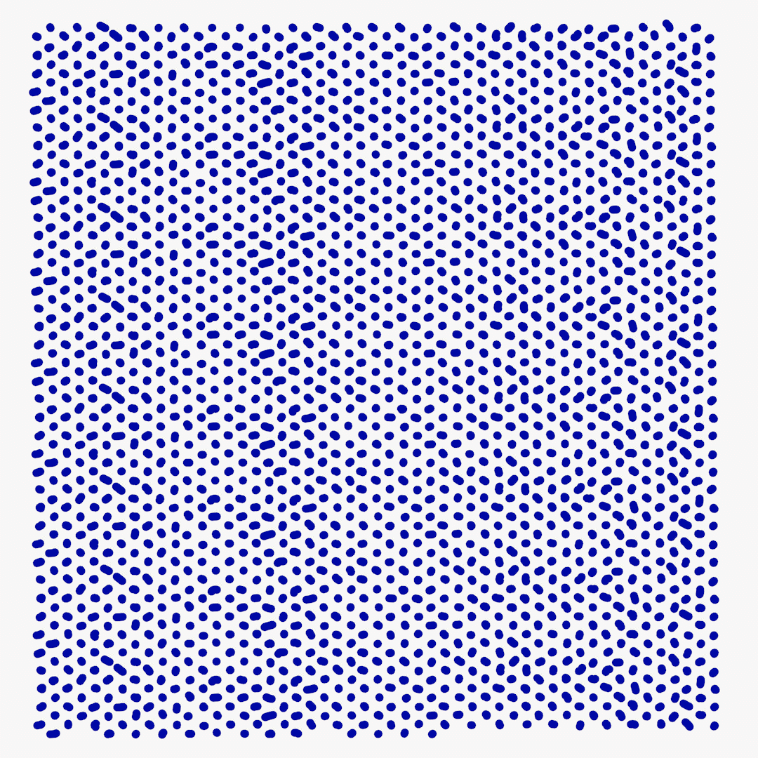 Mini Mesh Painting 24 07 24