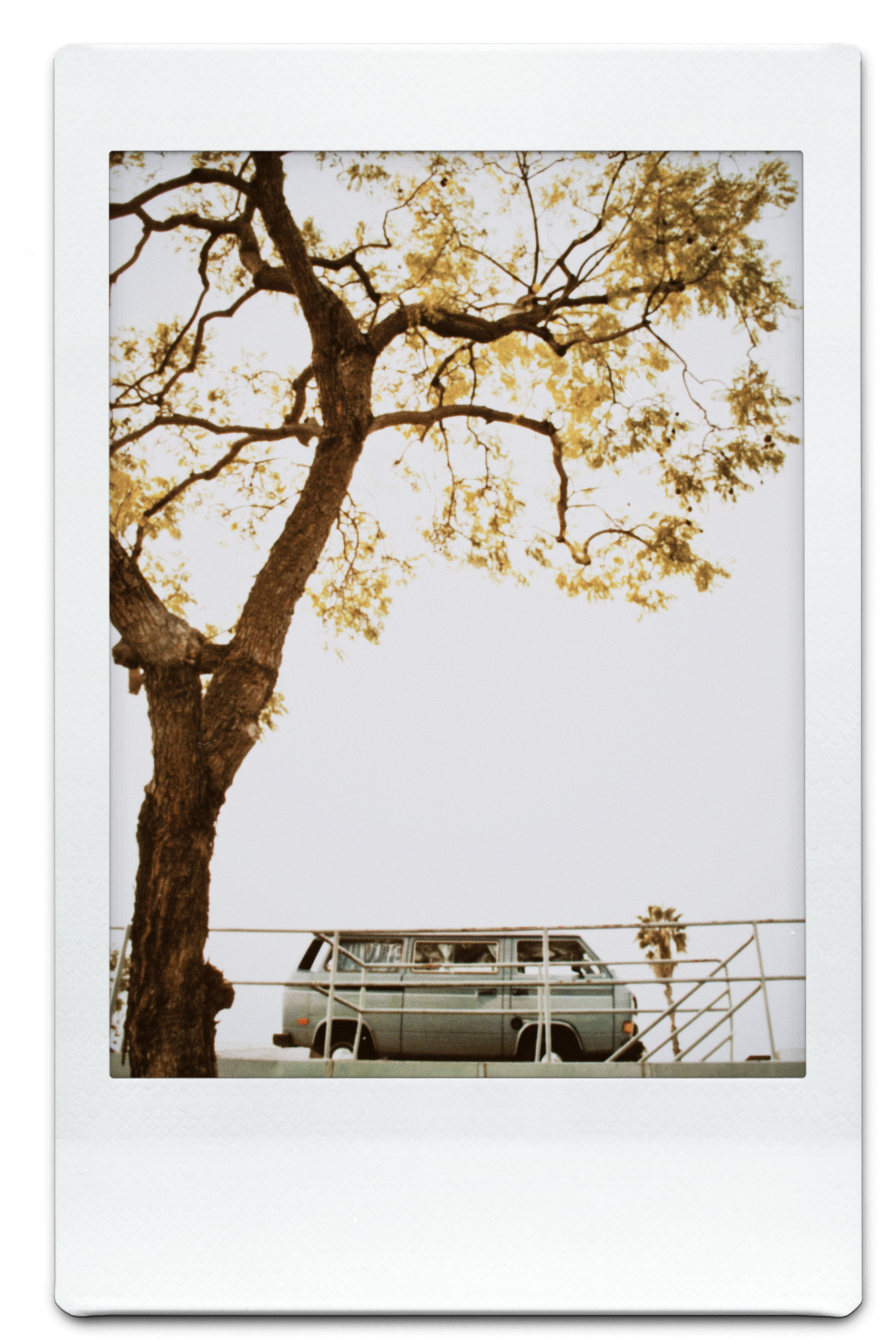 May 25 2024