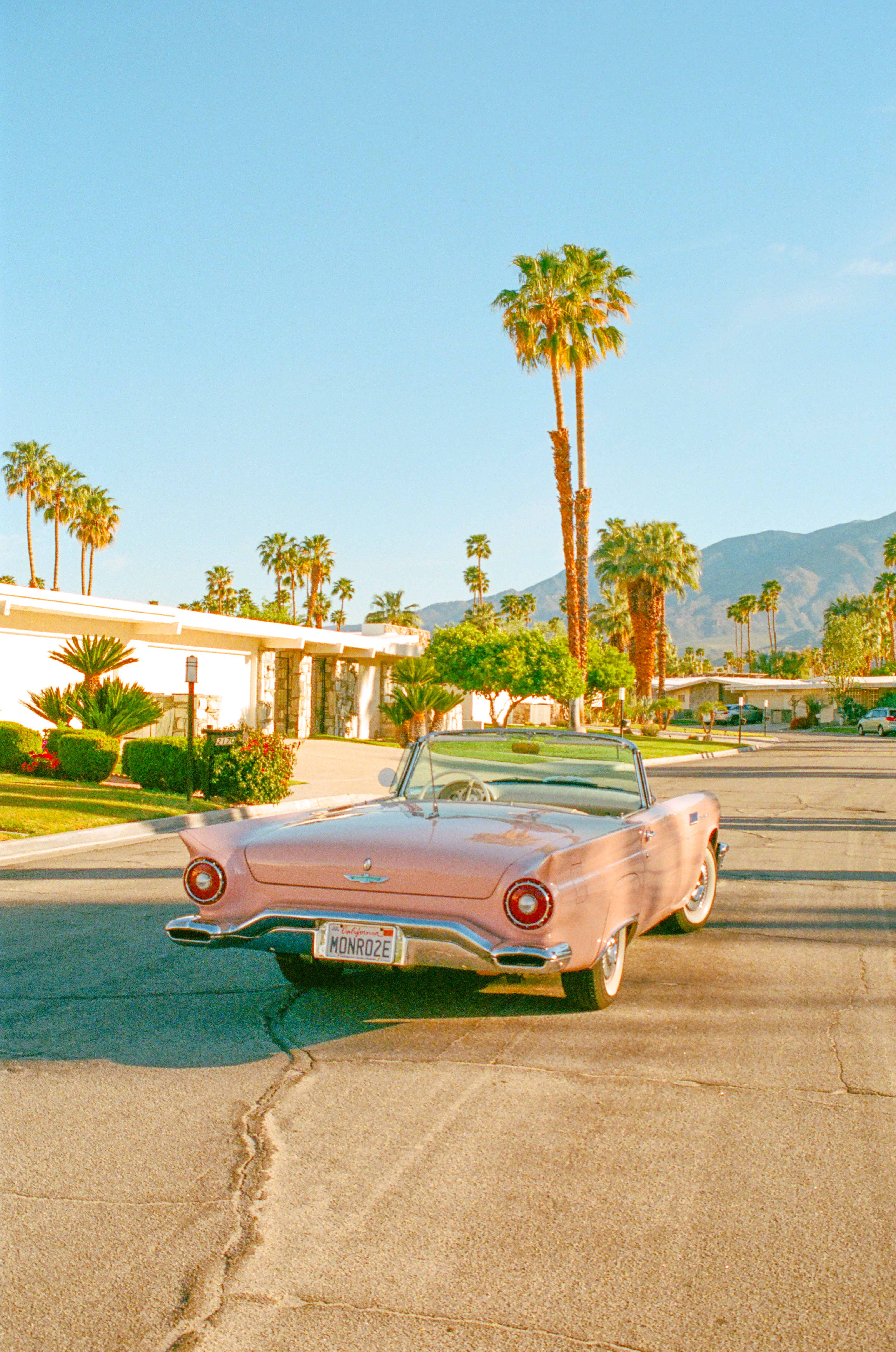 Cruising