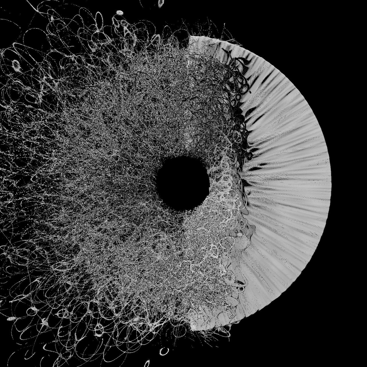 EYE