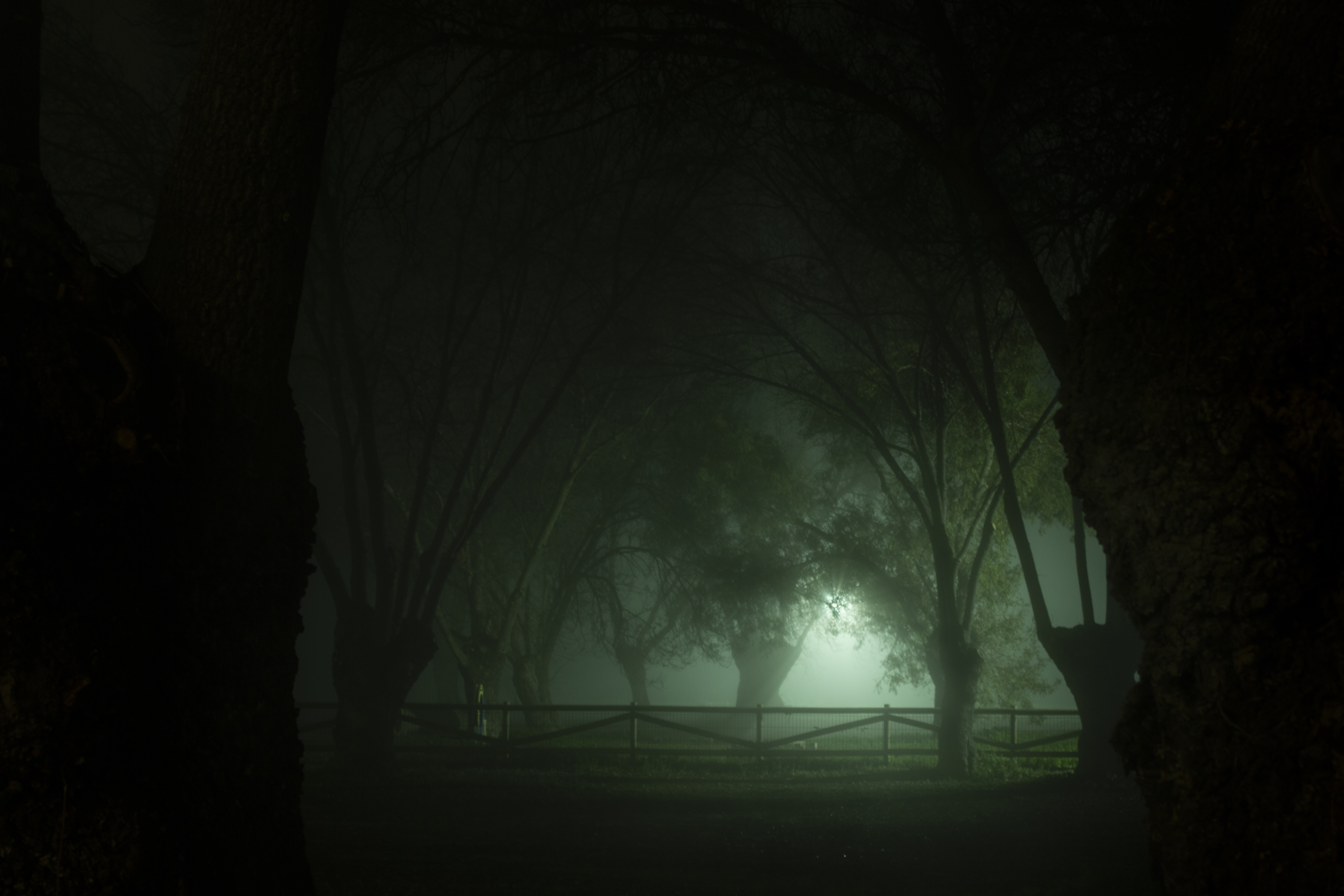 The park
