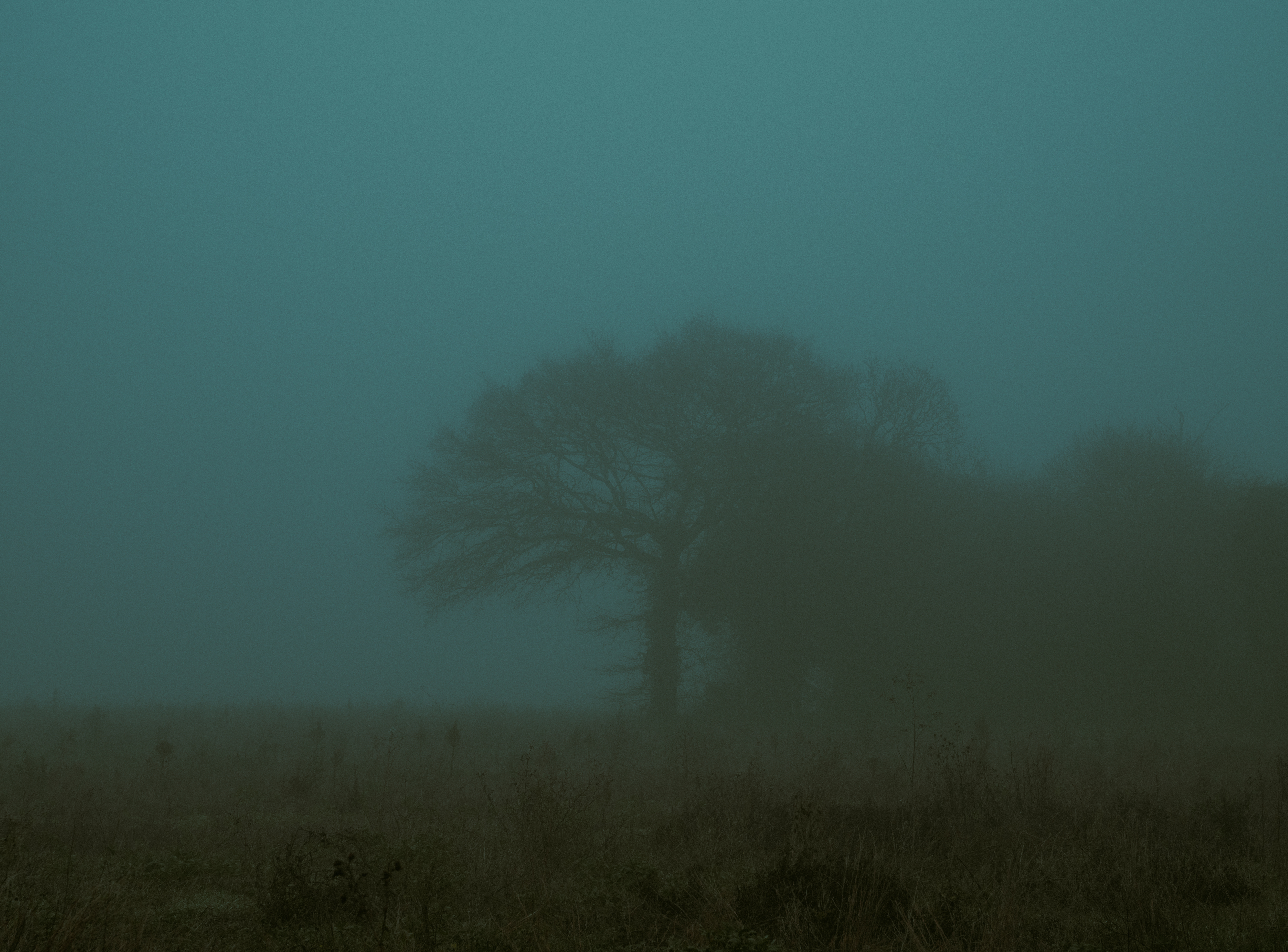 In the distance