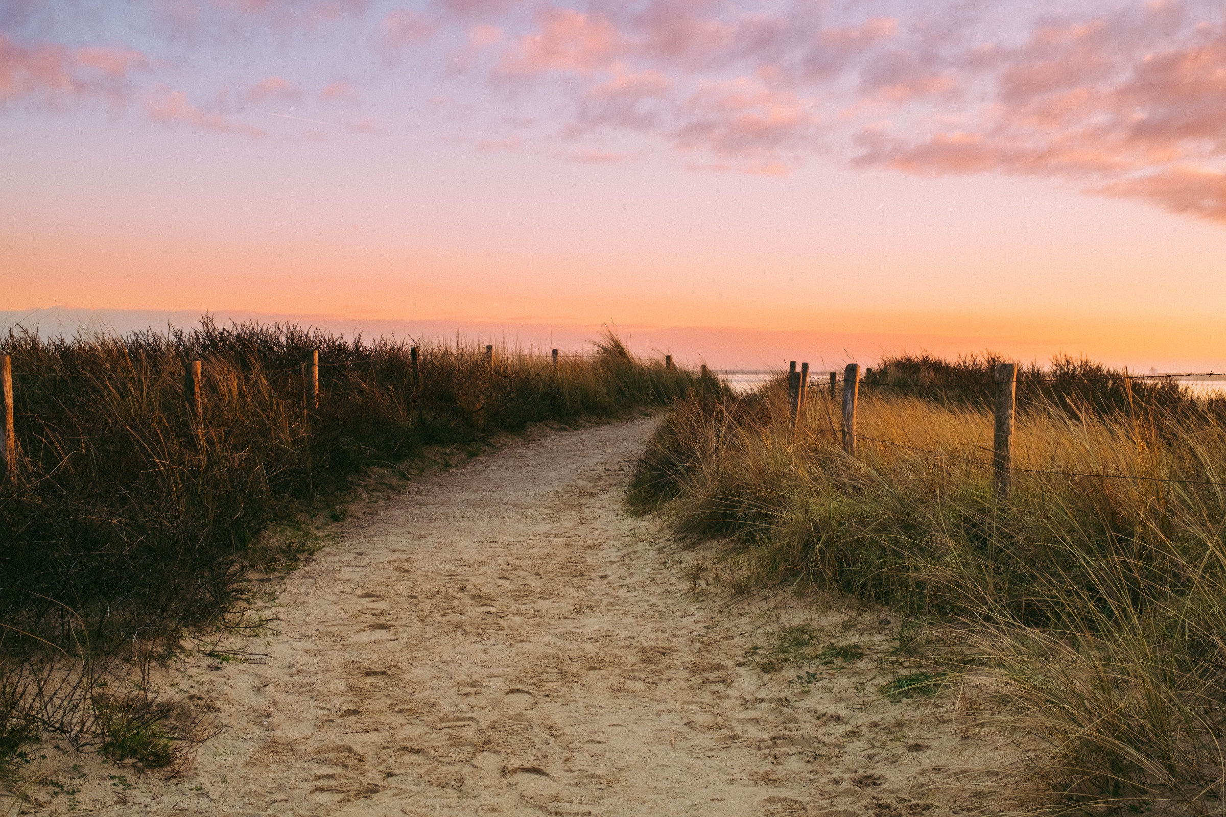 Where the Dunes Lead
