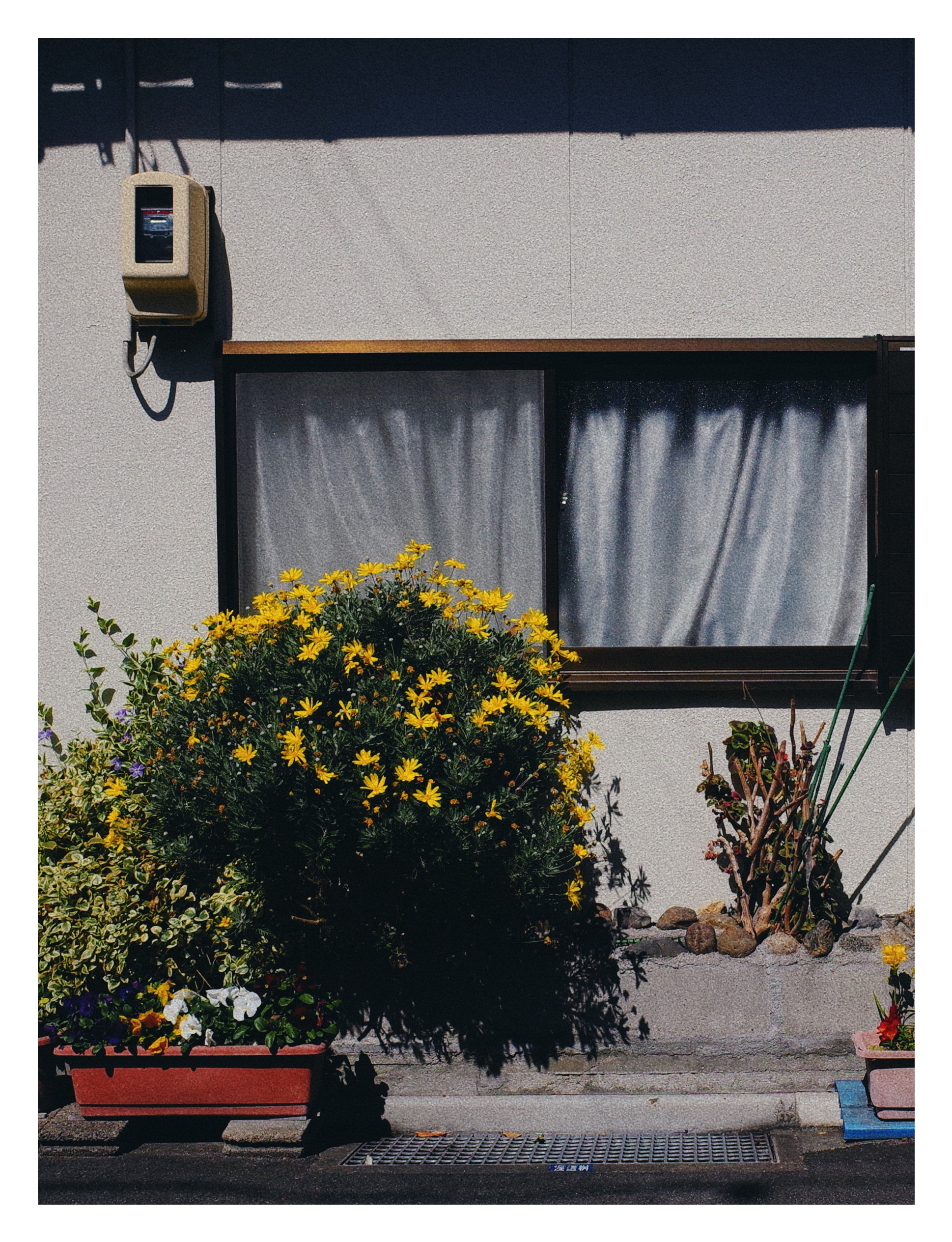 Banalography #025