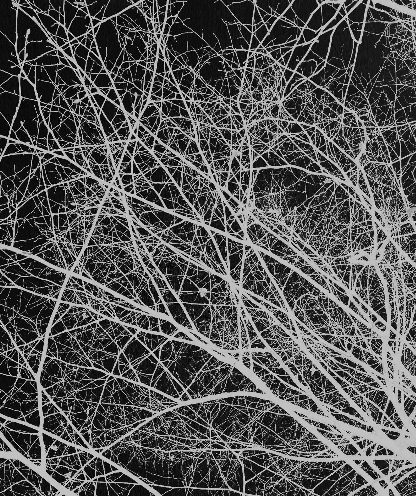 Interlude 56