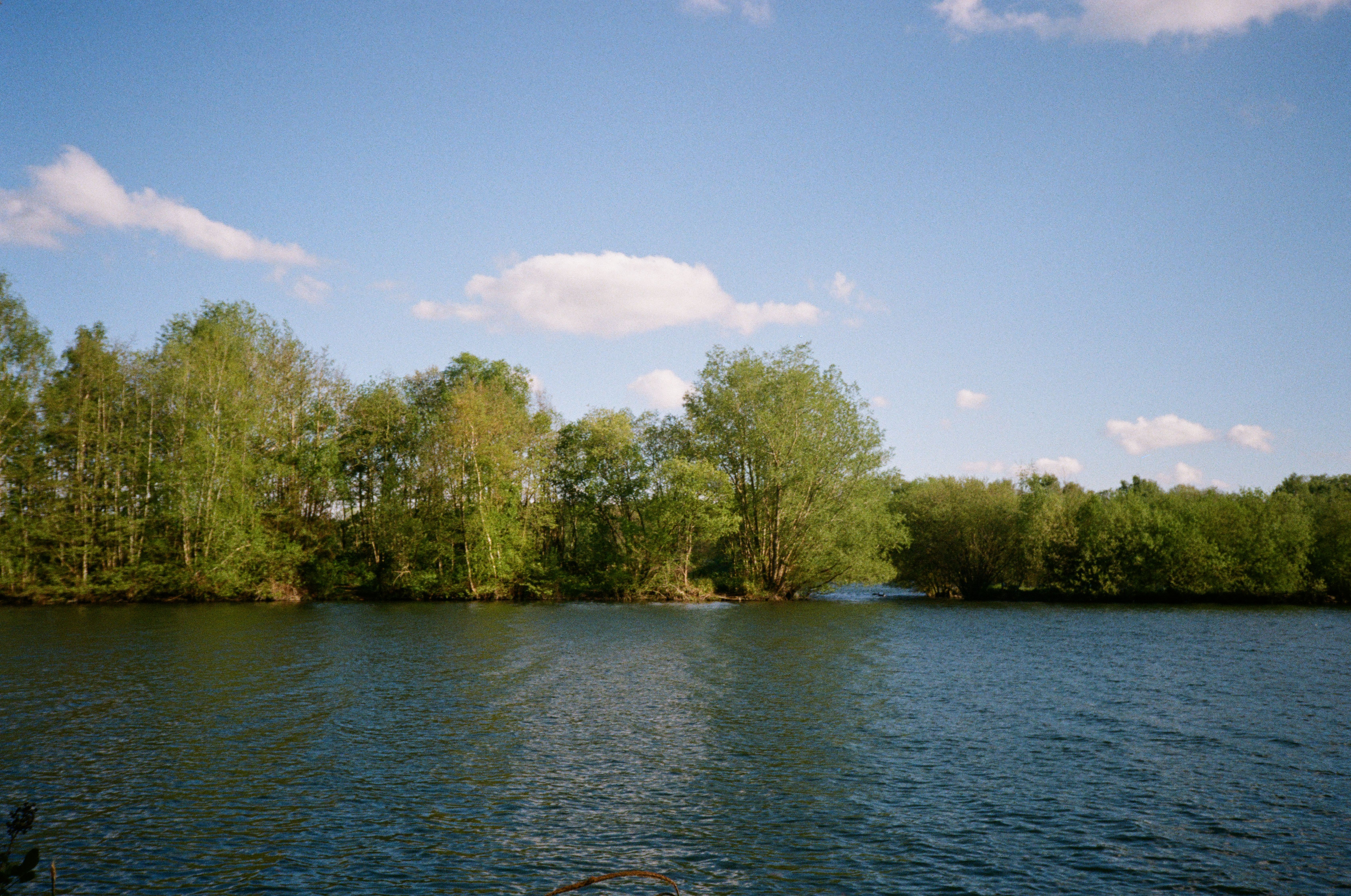 Spring on film