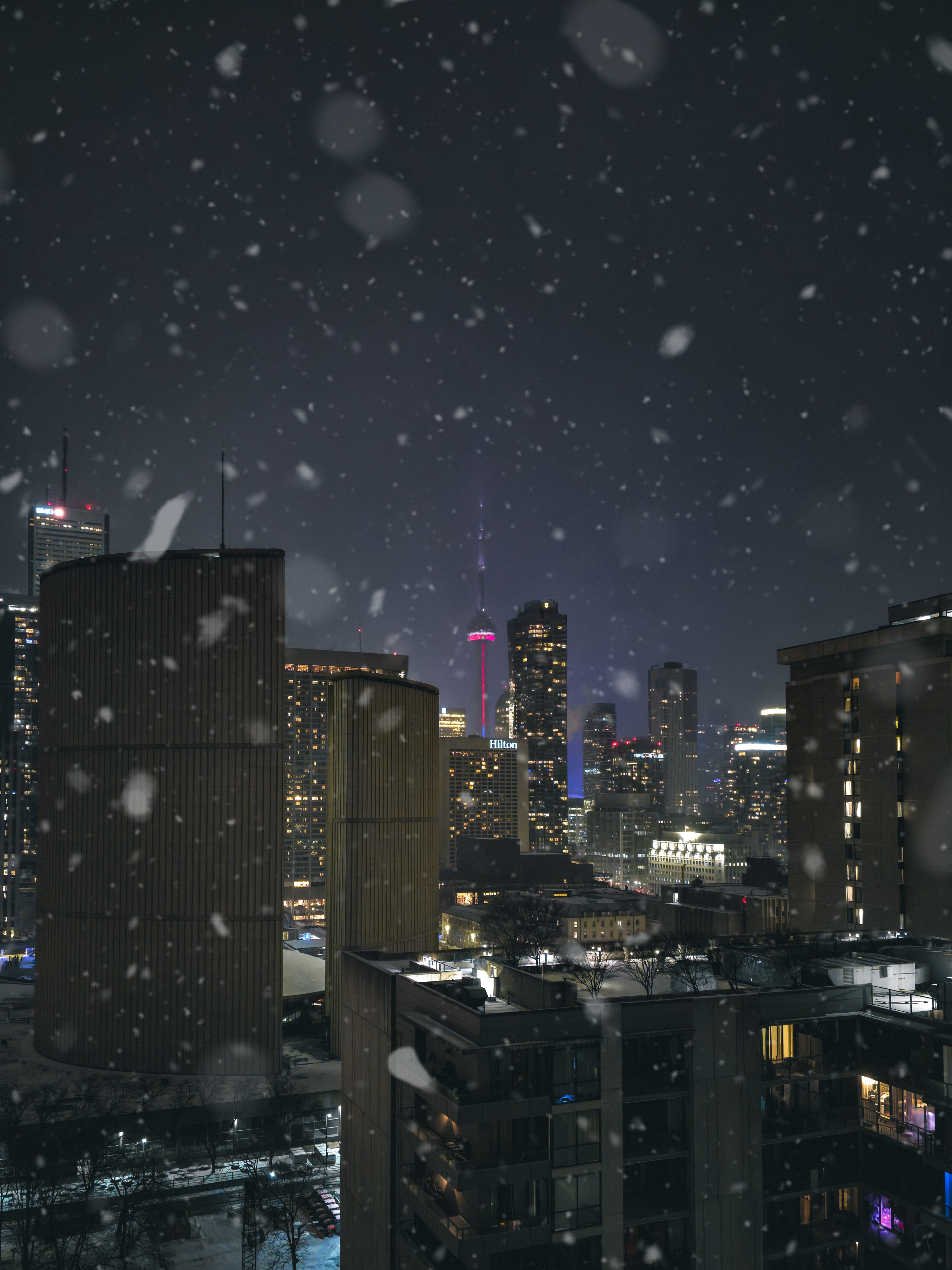 Cold Nights, Winter Light #473