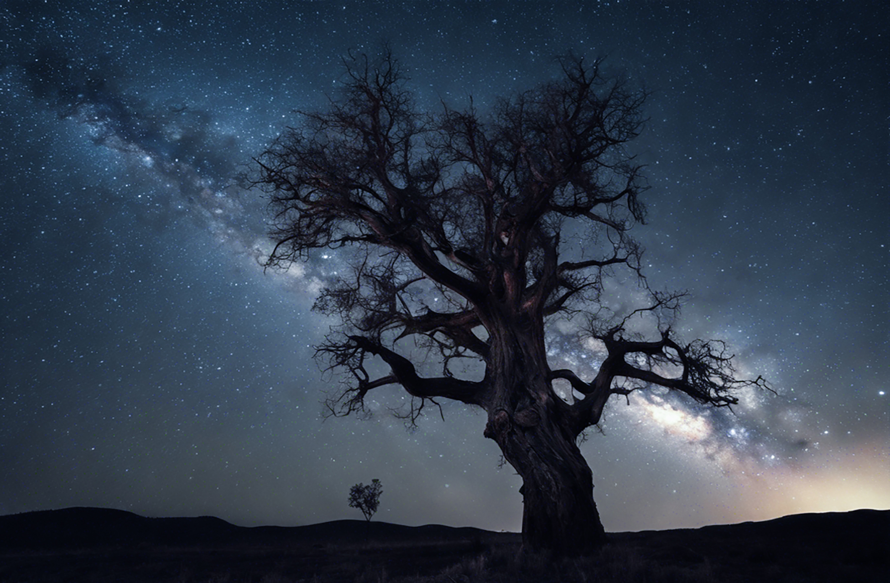 Milky Way #31