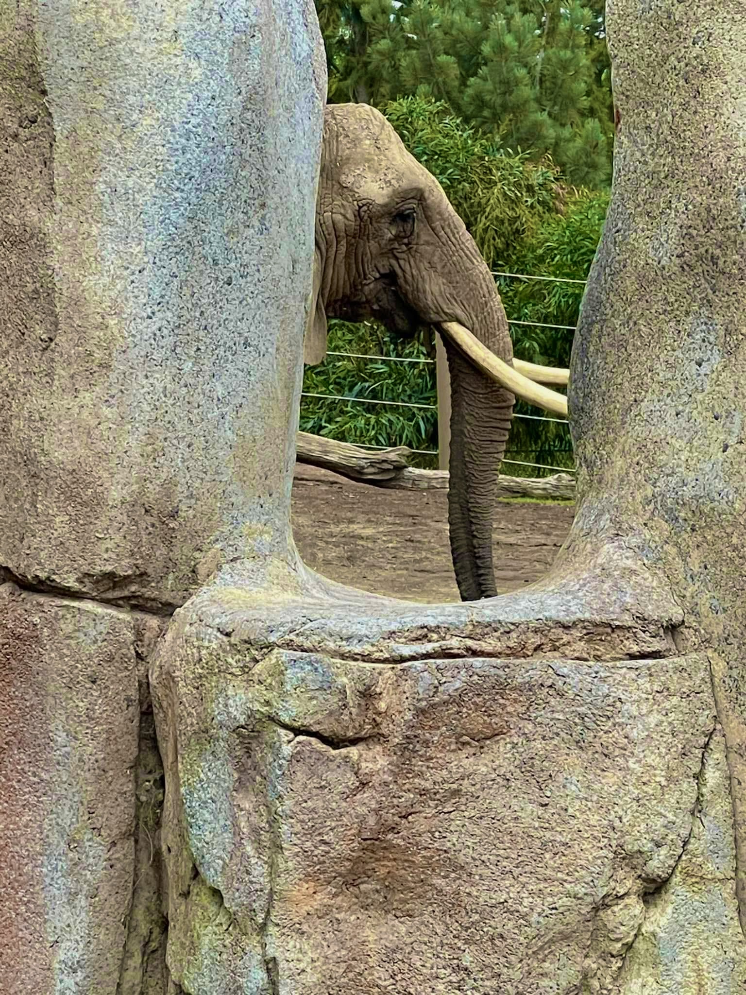 Peeking #7