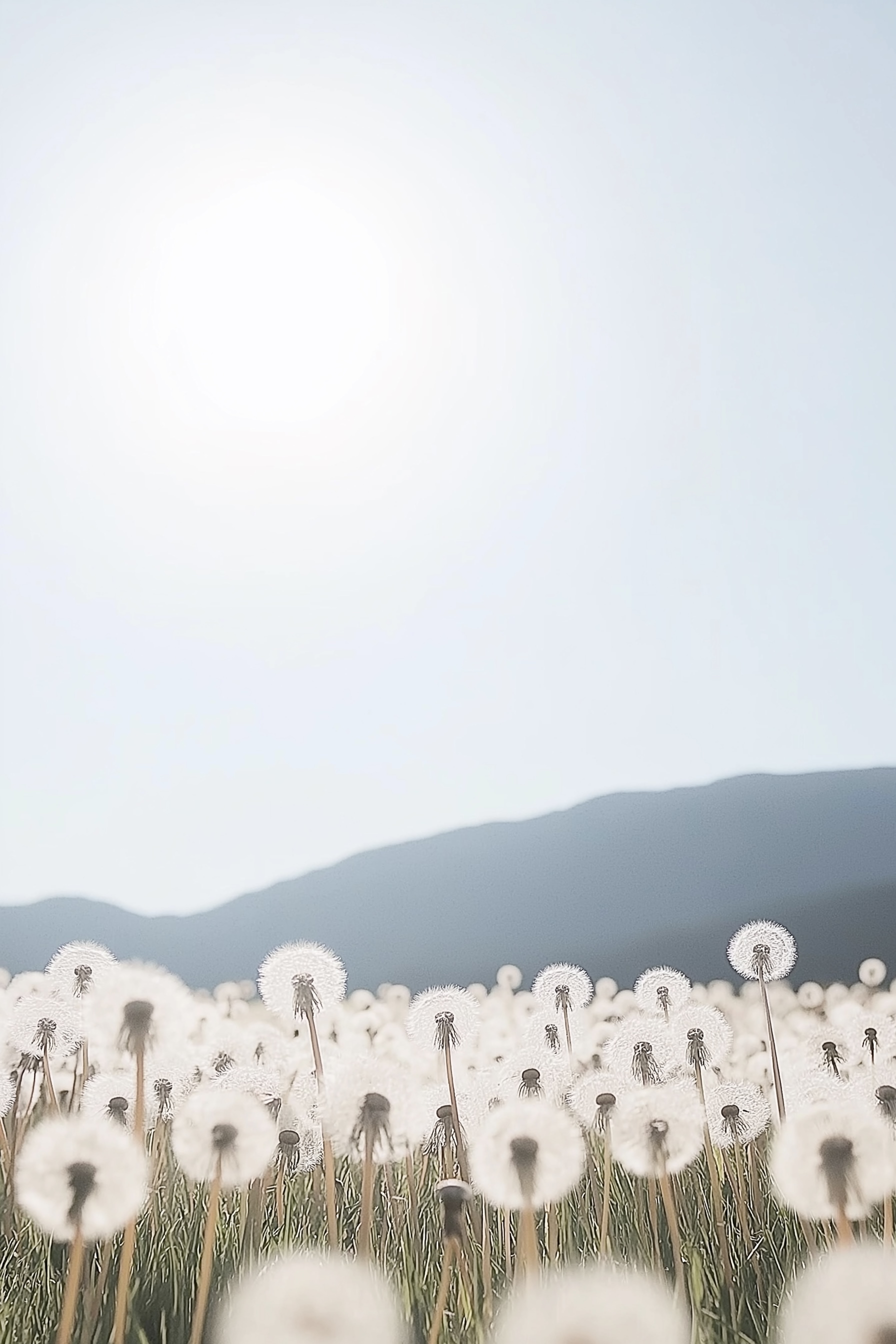 Summer Doldrum Diary - part 15