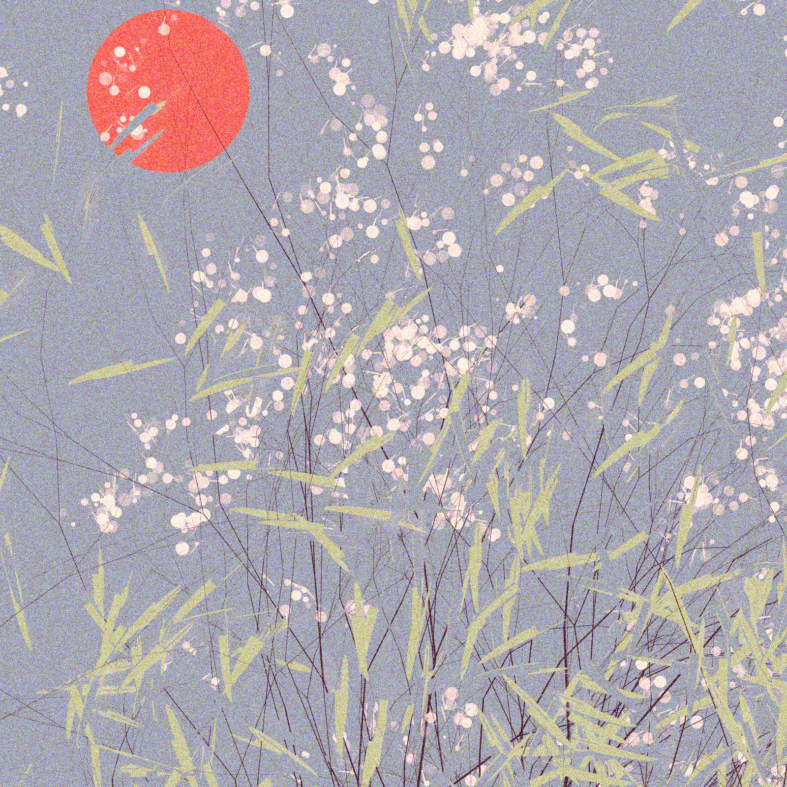 Sunset in the meadow