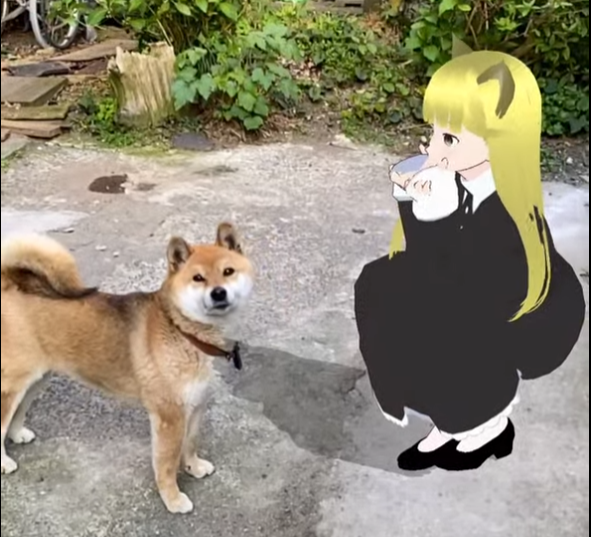daily miint dog