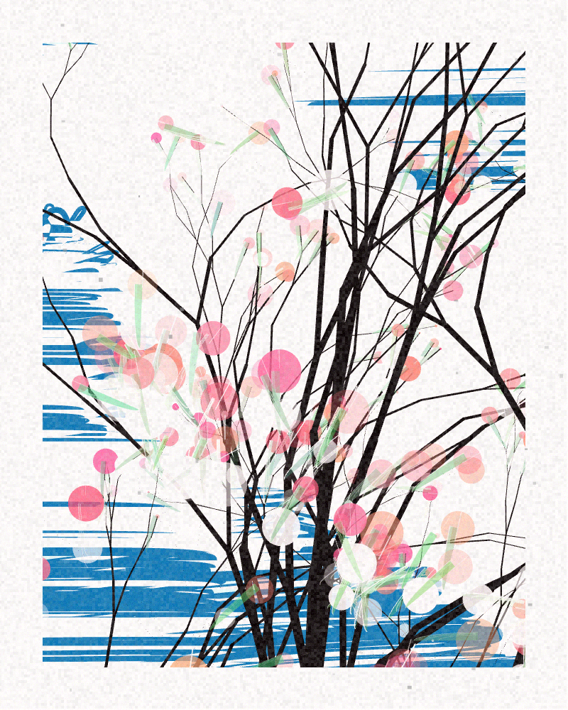 The Blossoms Behind the River
