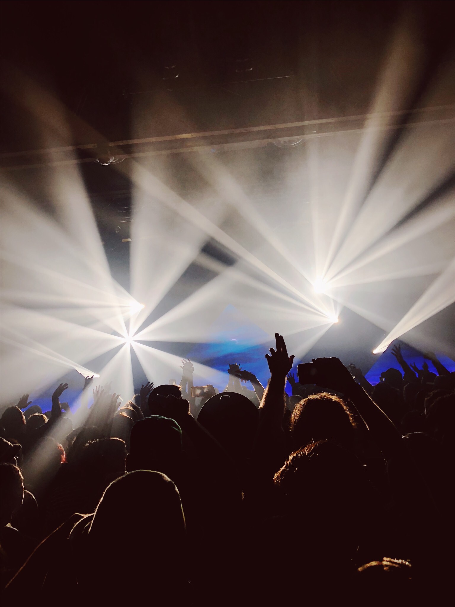 Zhu Lights