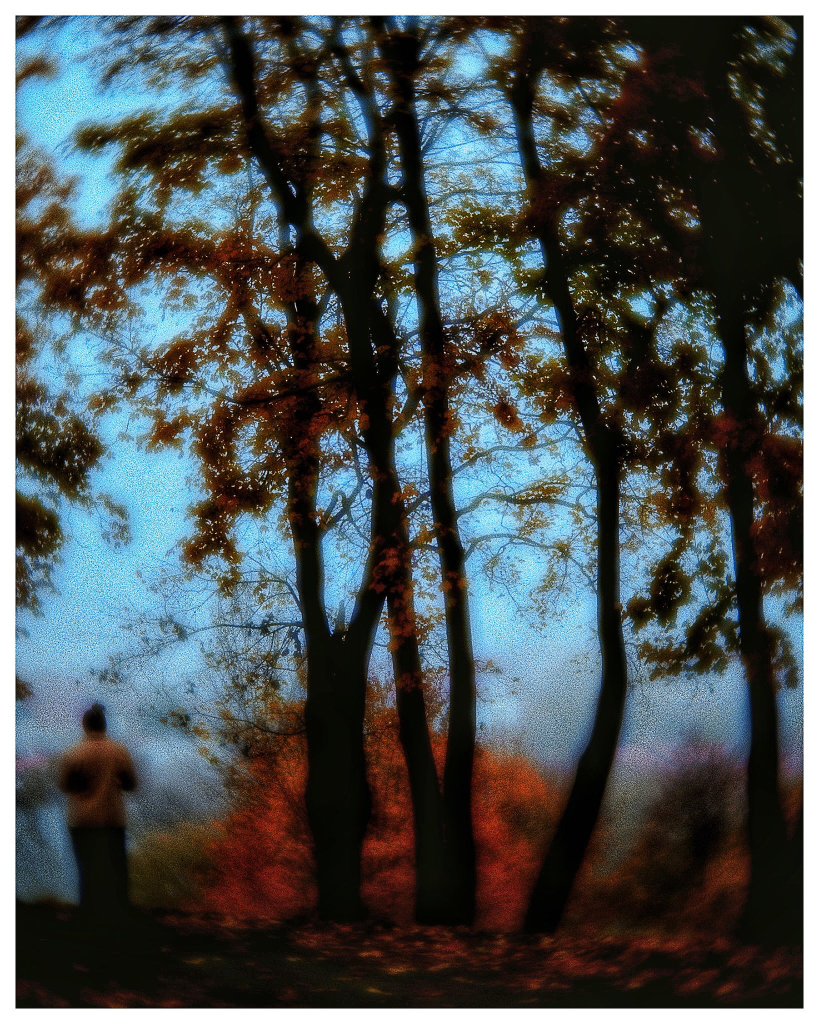 Focus of Gant / «autumn. 2024»