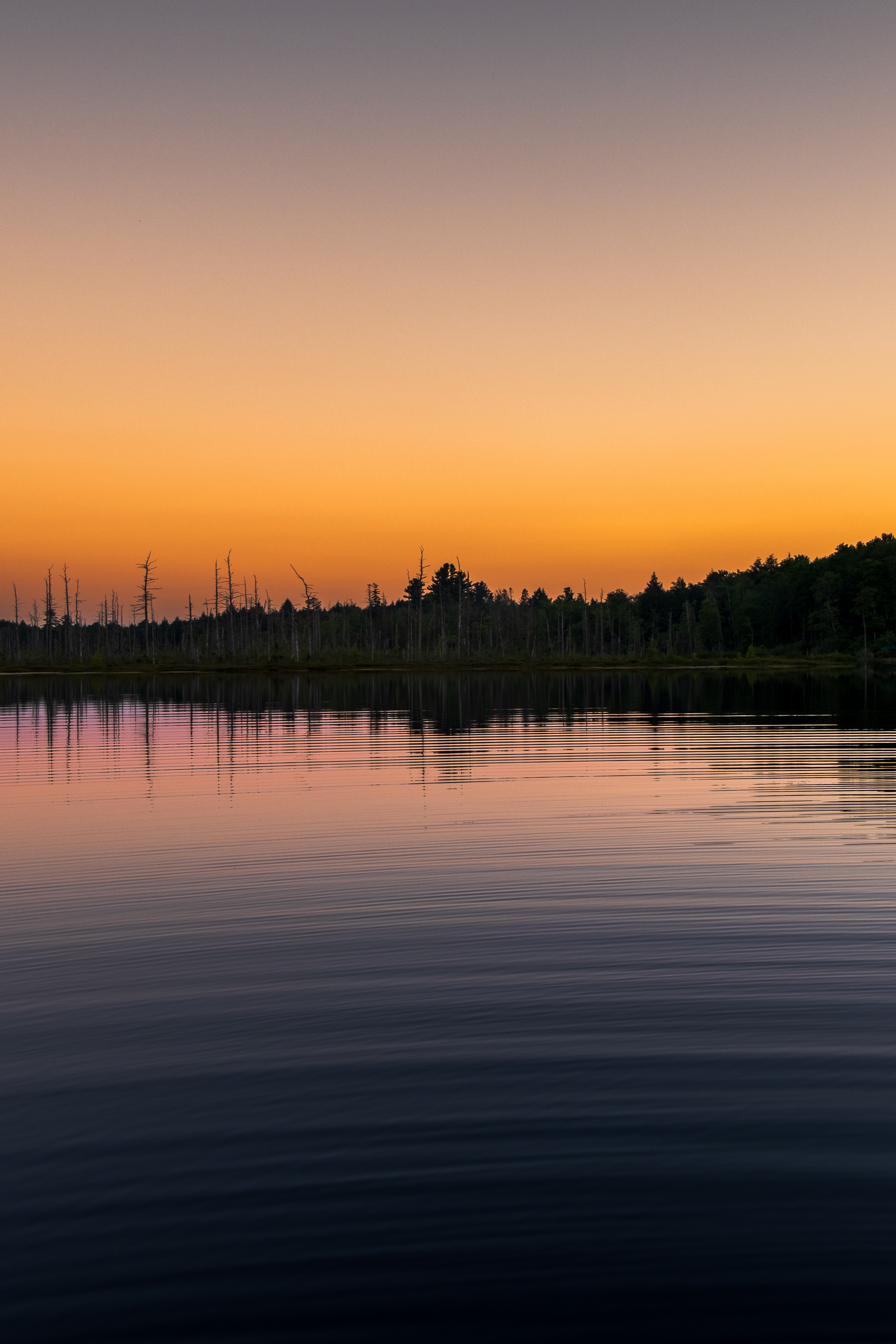 Sunset Reflections: A Fisher’s Pause