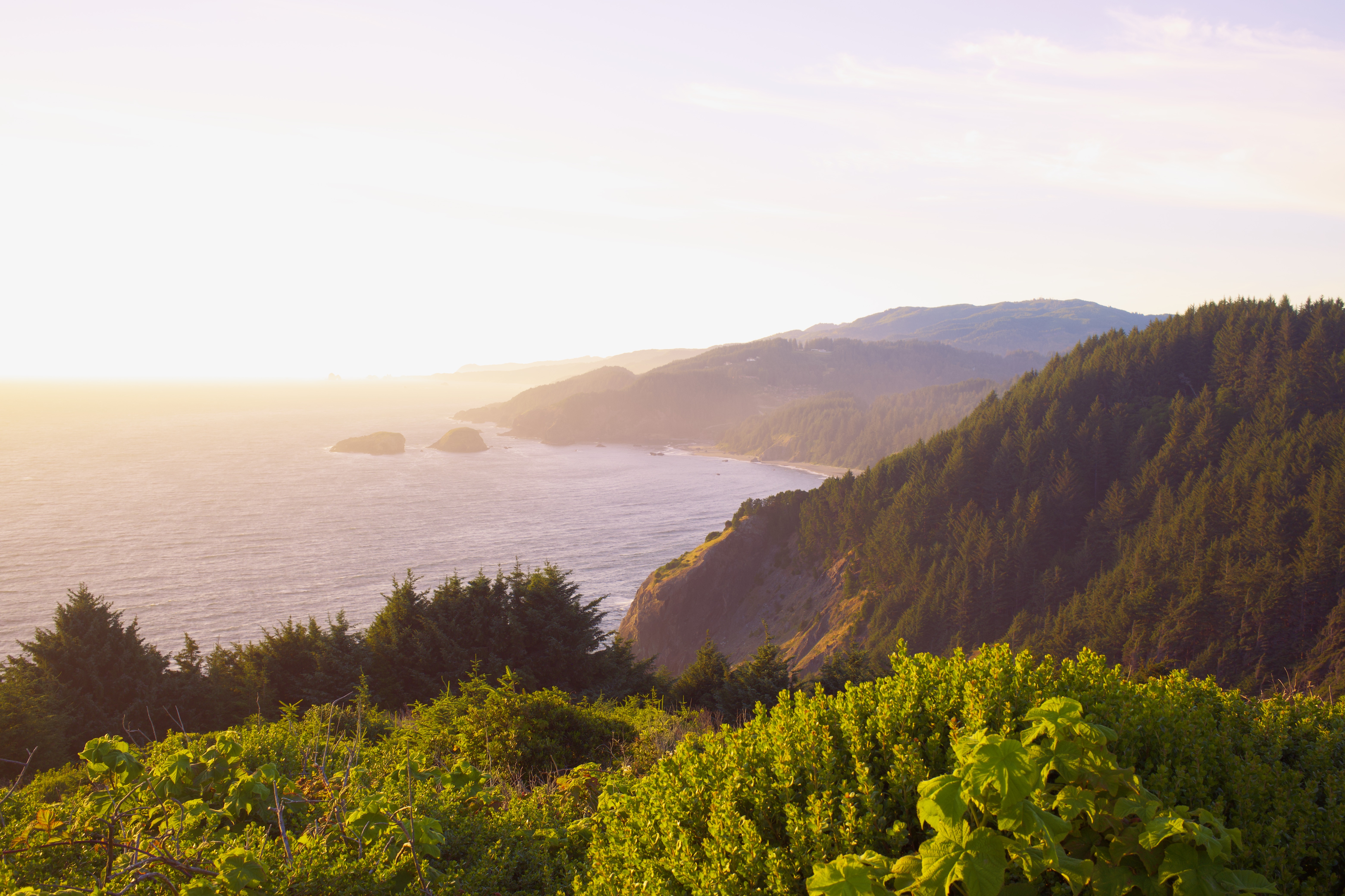 coastal dreaming