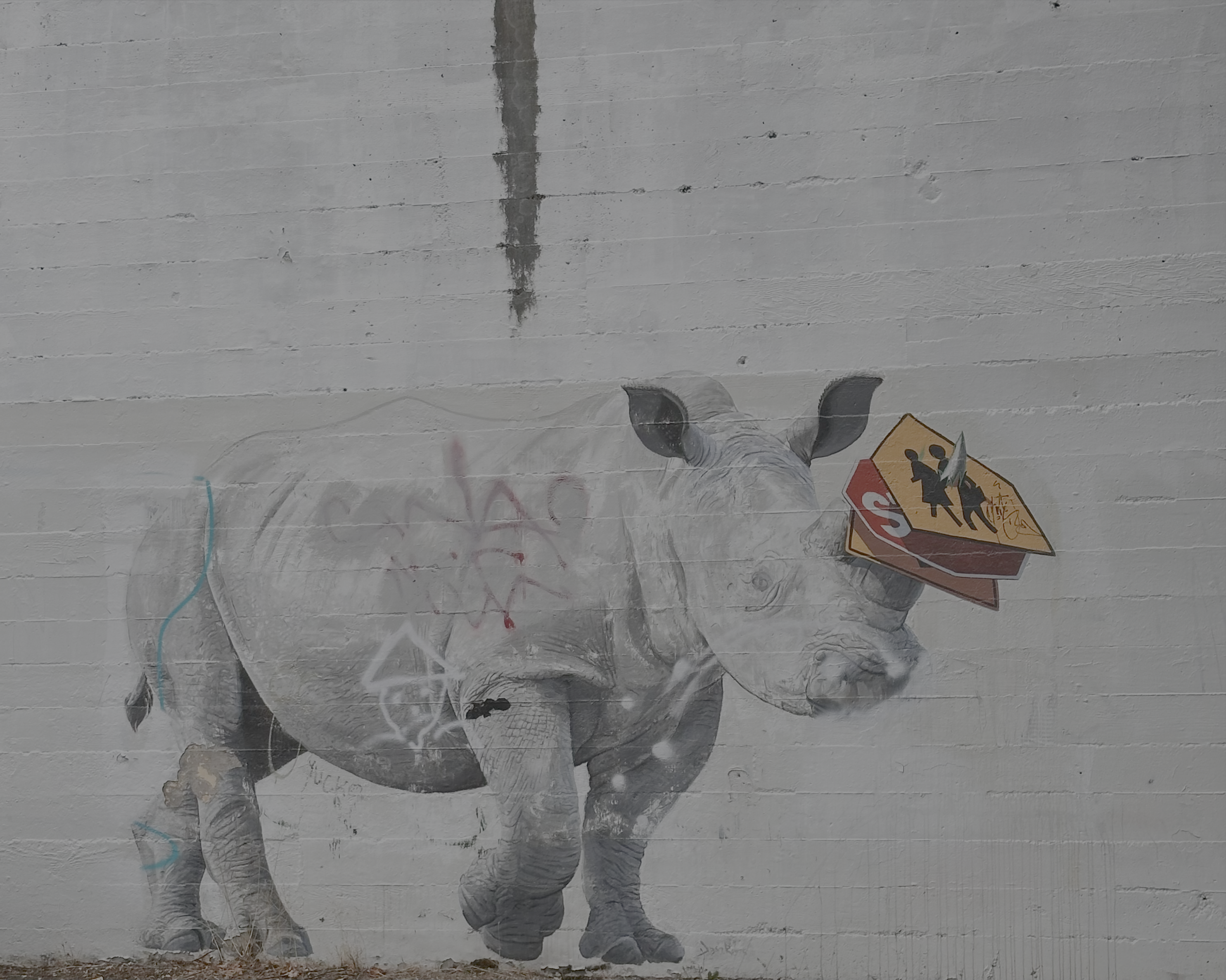 Rhino Crossing PDX #1