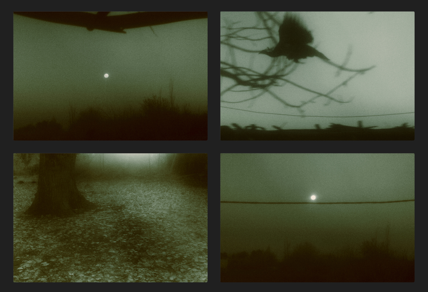 from the garden, of the last full moon