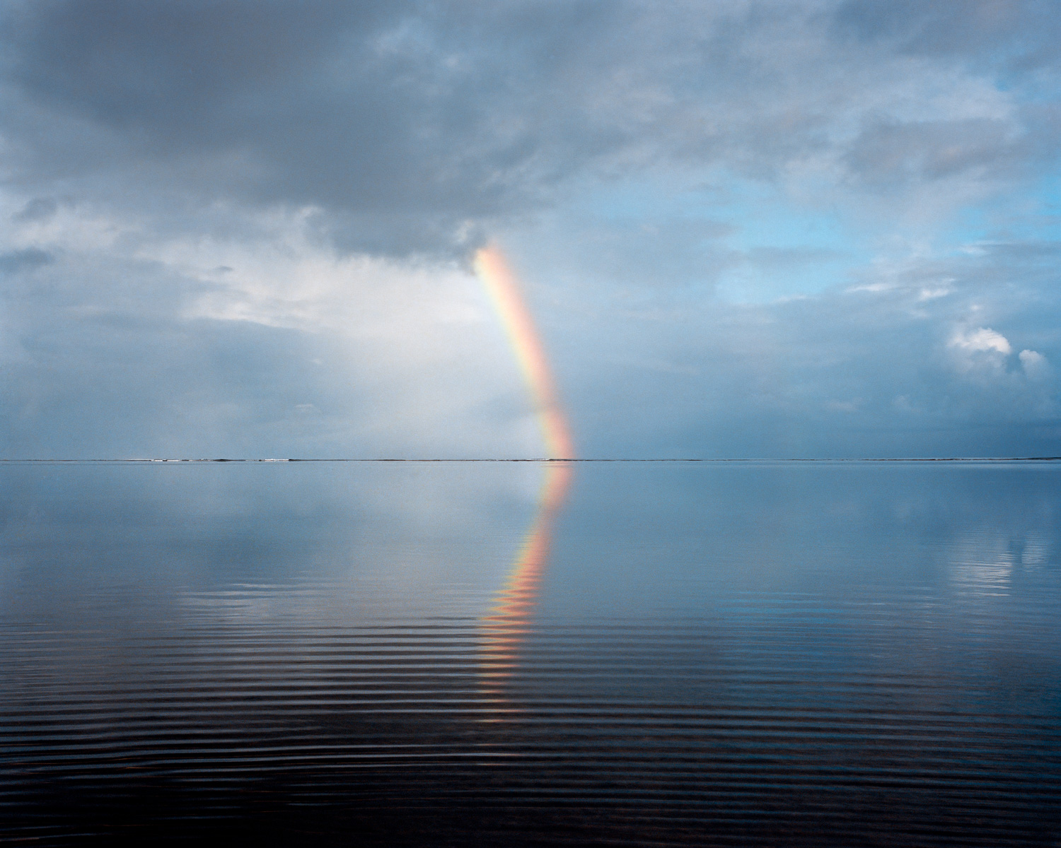 Island, 2011