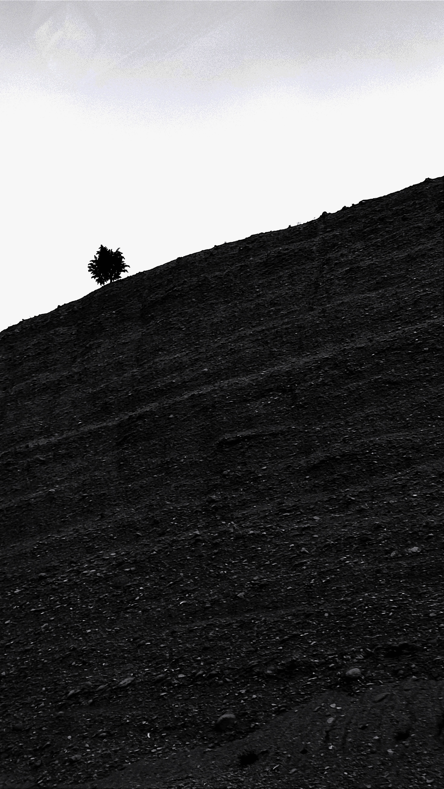 Alone