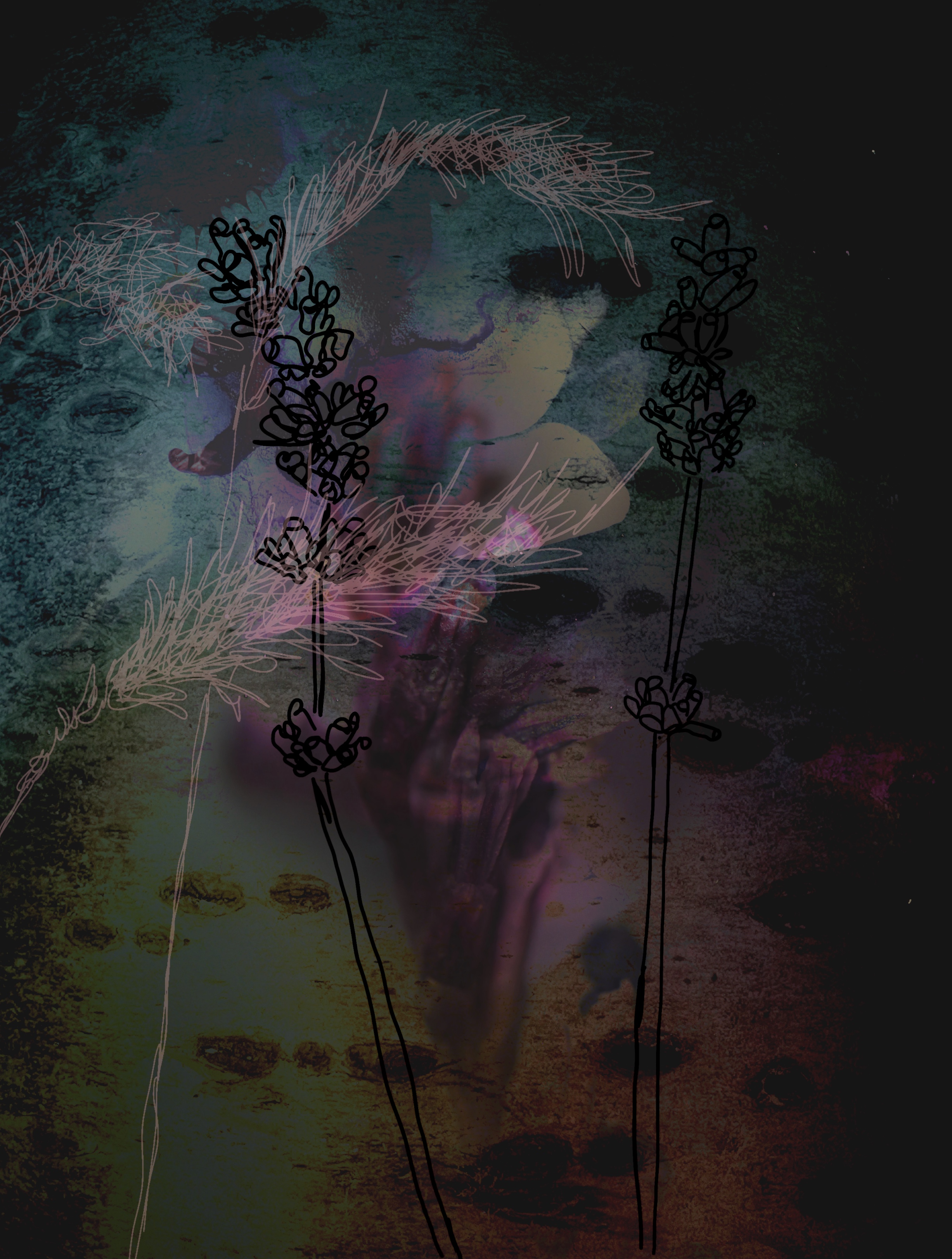 Gone to Seed