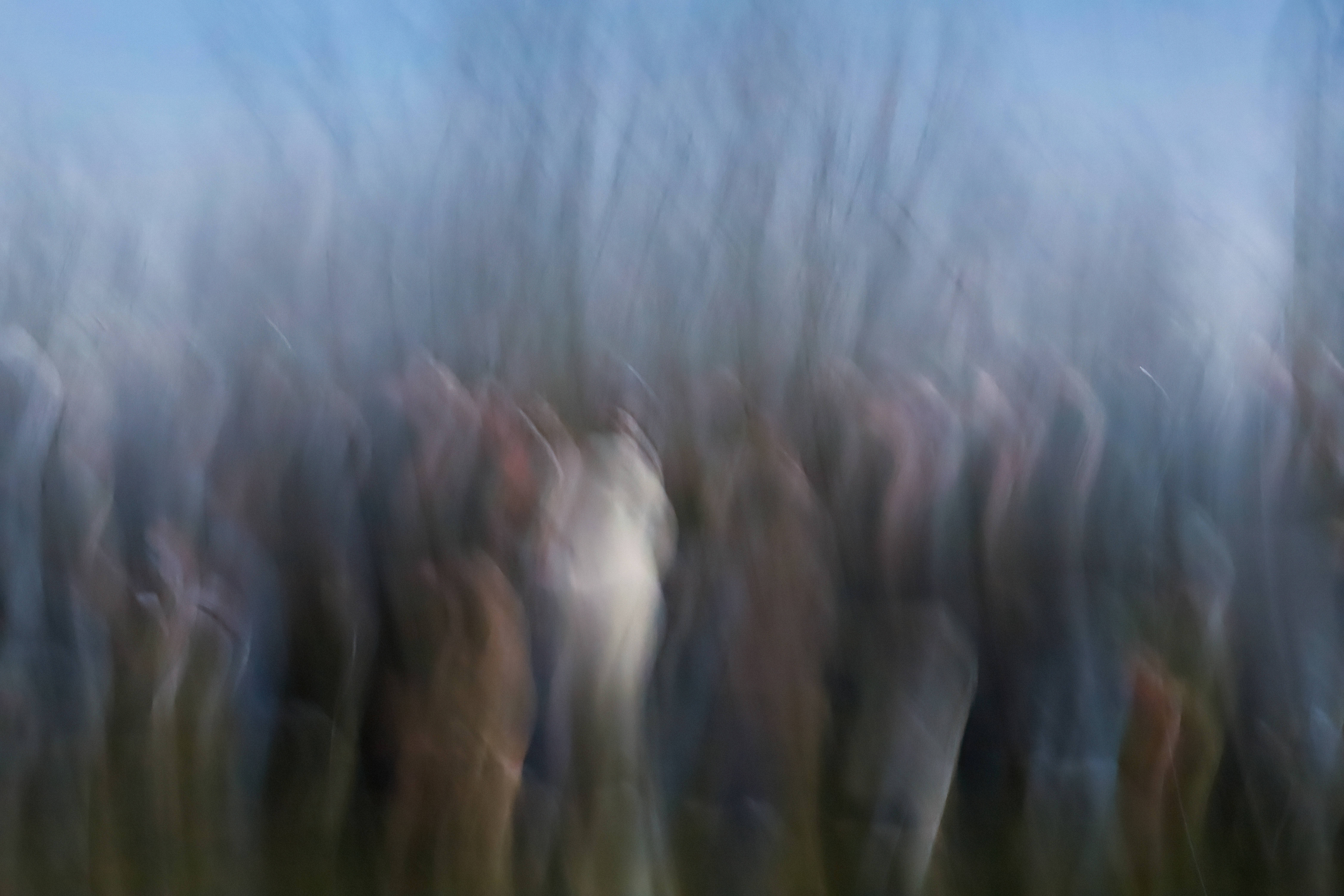 ICM Triptyque #2